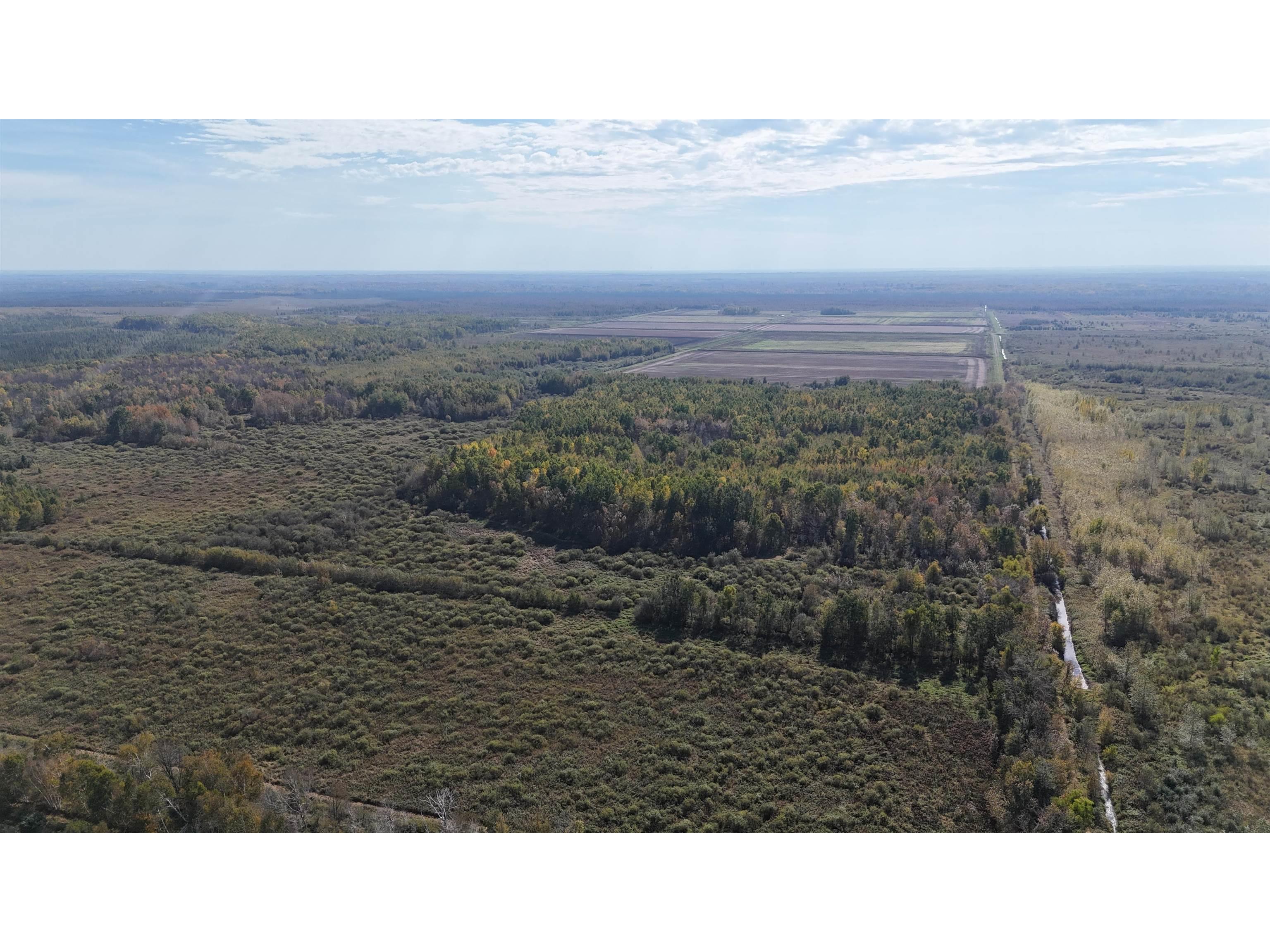 xxxx 460th Ln Palisade MN 56469 6122345 image24