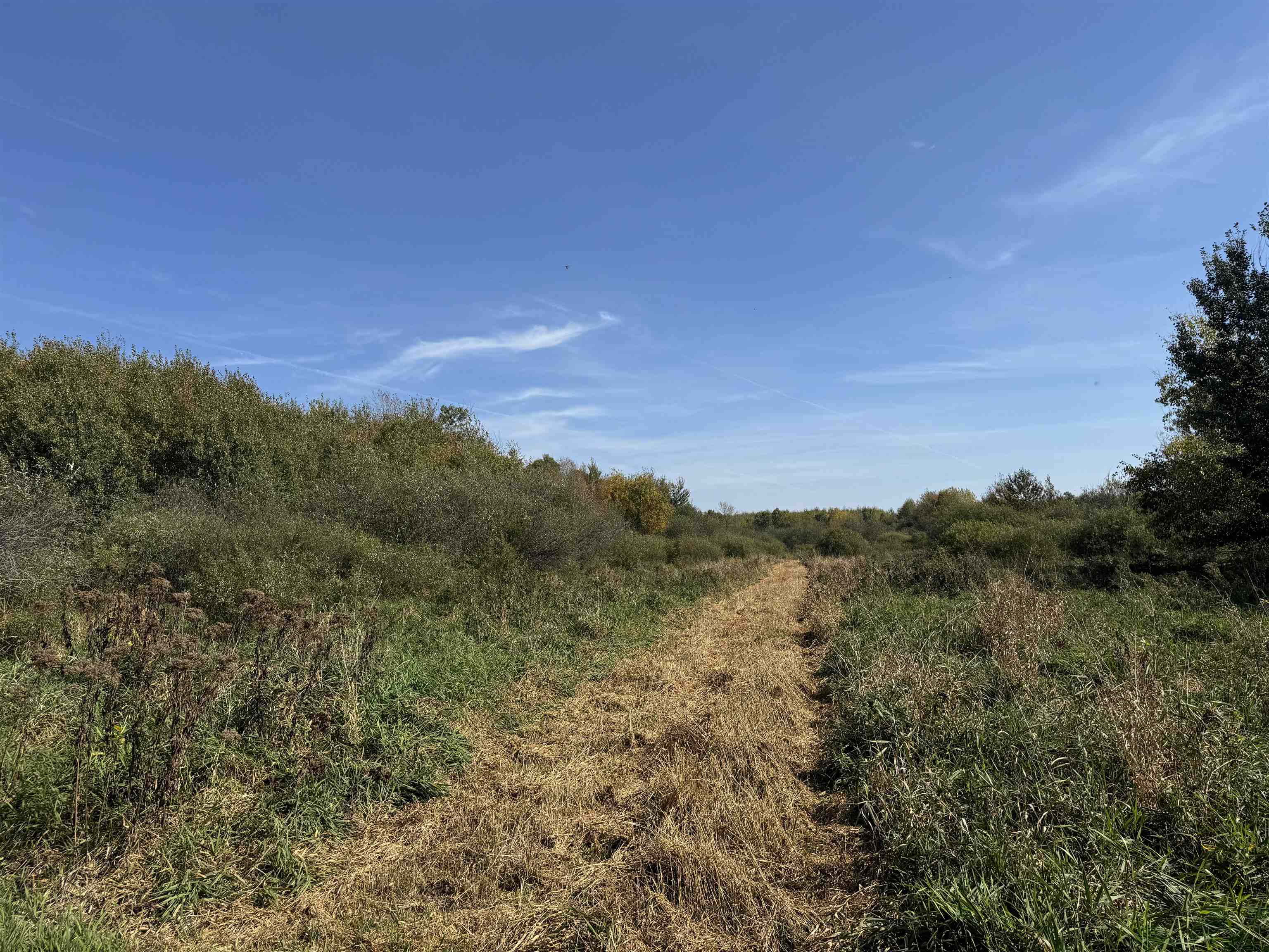 xxxx 460th Ln Palisade MN 56469 6122345 image6