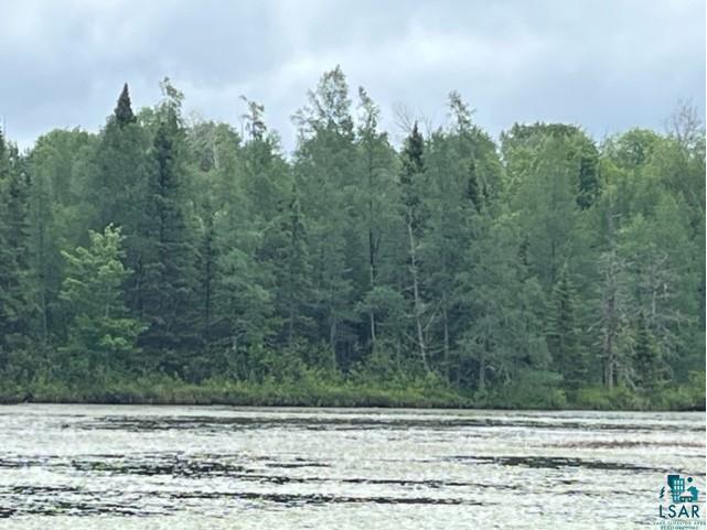 xxxx E Stone Lake Rd Zim MN 55738 - West Stone 6107119 image1