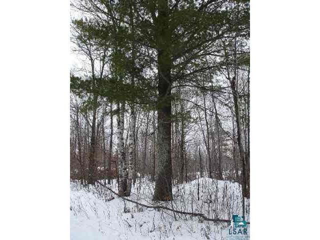 xxxx Foresty Rd Brule WI 54847 6062813 image2