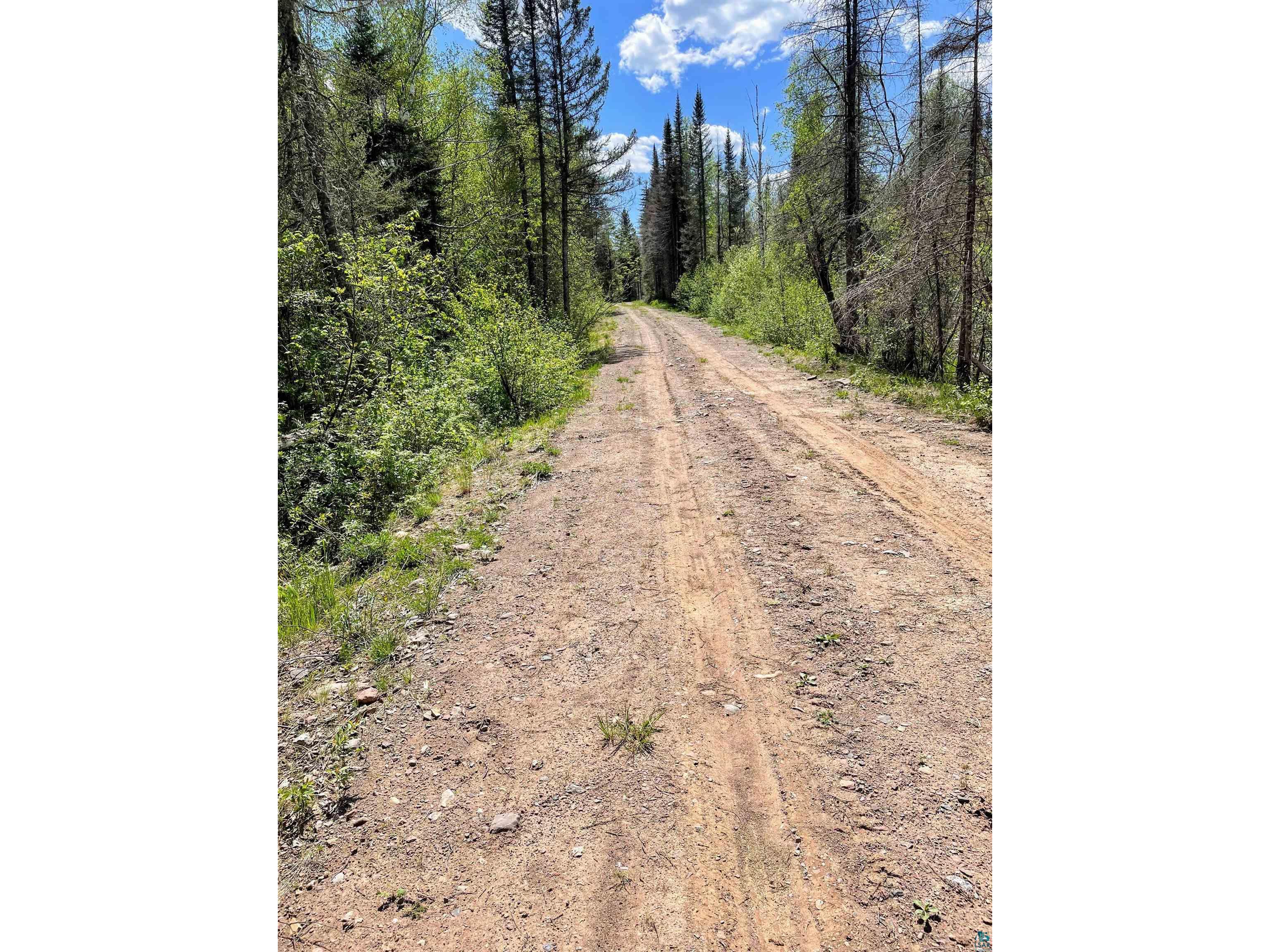 xxxx Highway 1 Finland MN 55603 6103401 image1