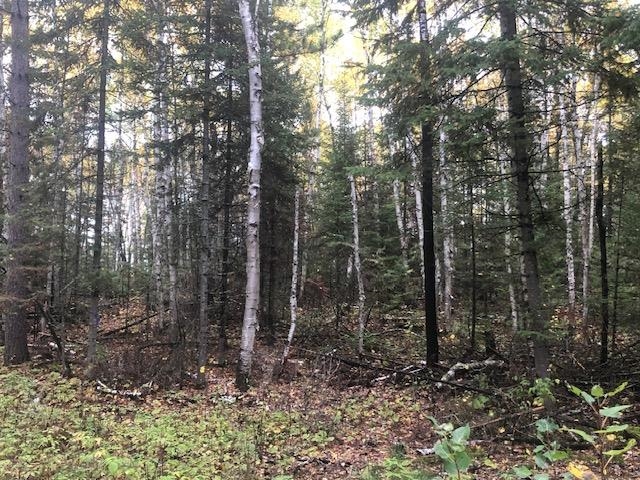 xxxx Highway 5 Cook MN 55723 6120370 image1