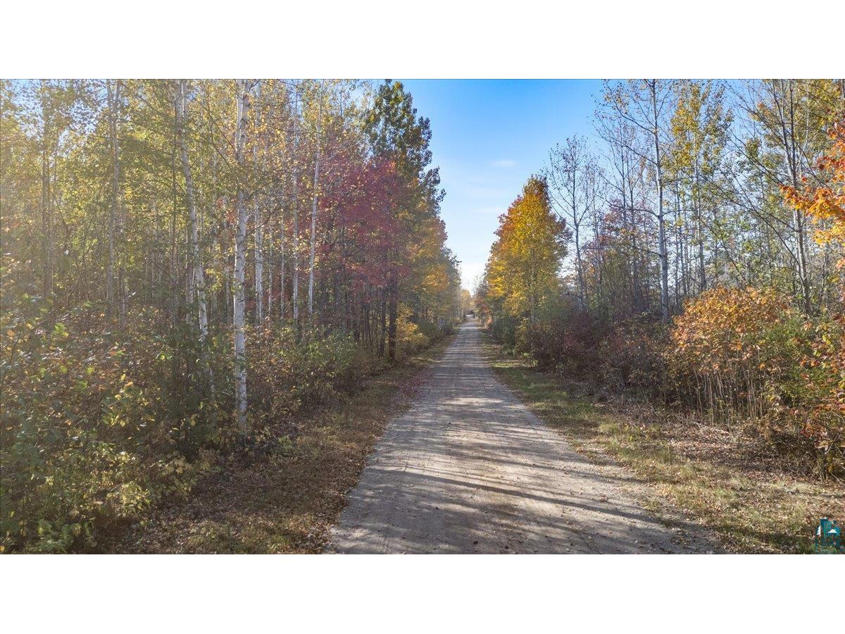 xxxx Jackpine Ln Angora MN 55703 6116457 image1