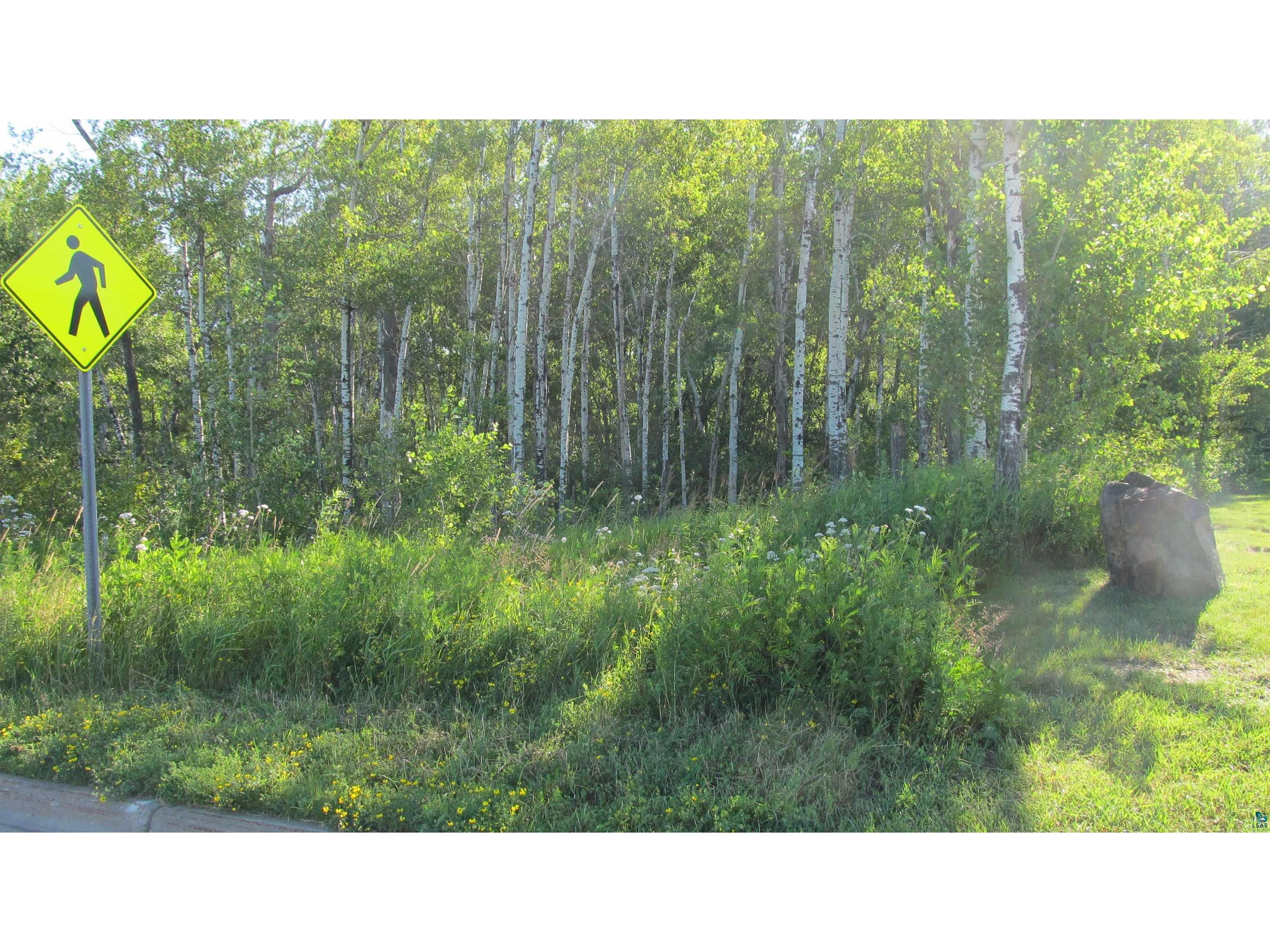 xxxx Maple Grove Rd Duluth MN 55811 6112219 image5