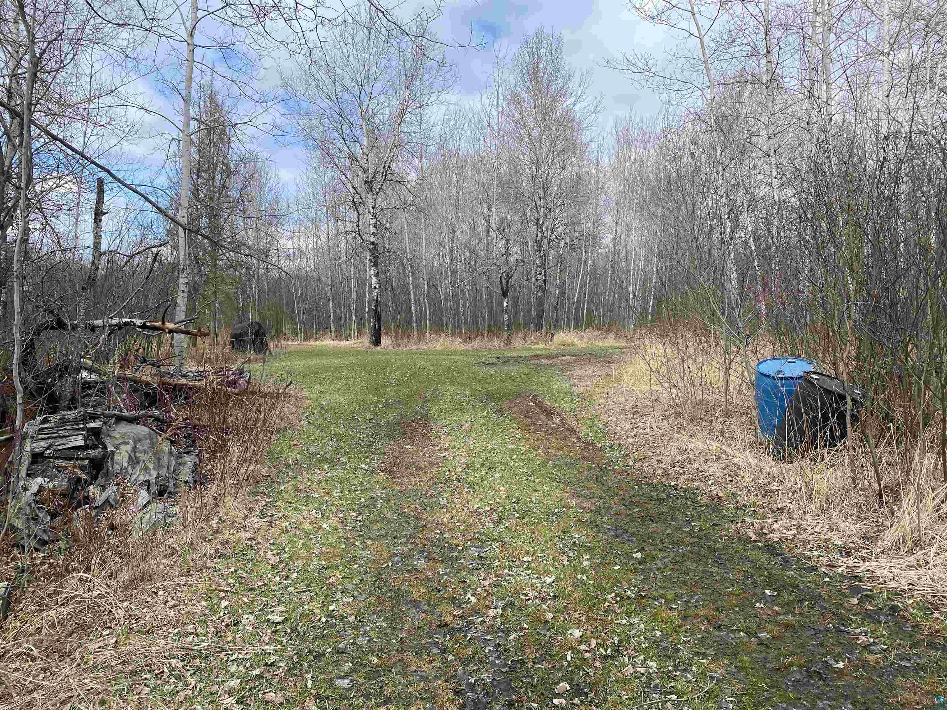 xxxx Mink Rd Cotton MN 55724 6113458 image1