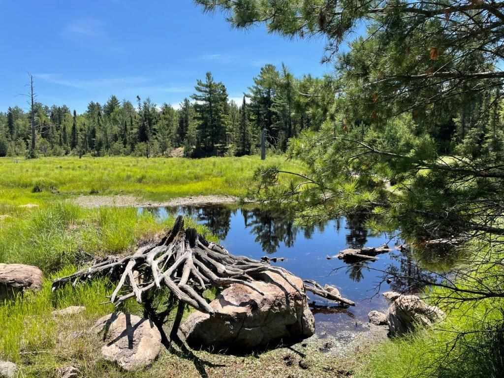 xxxx Mud Creek Rd Ely MN 55731 6119068 image1