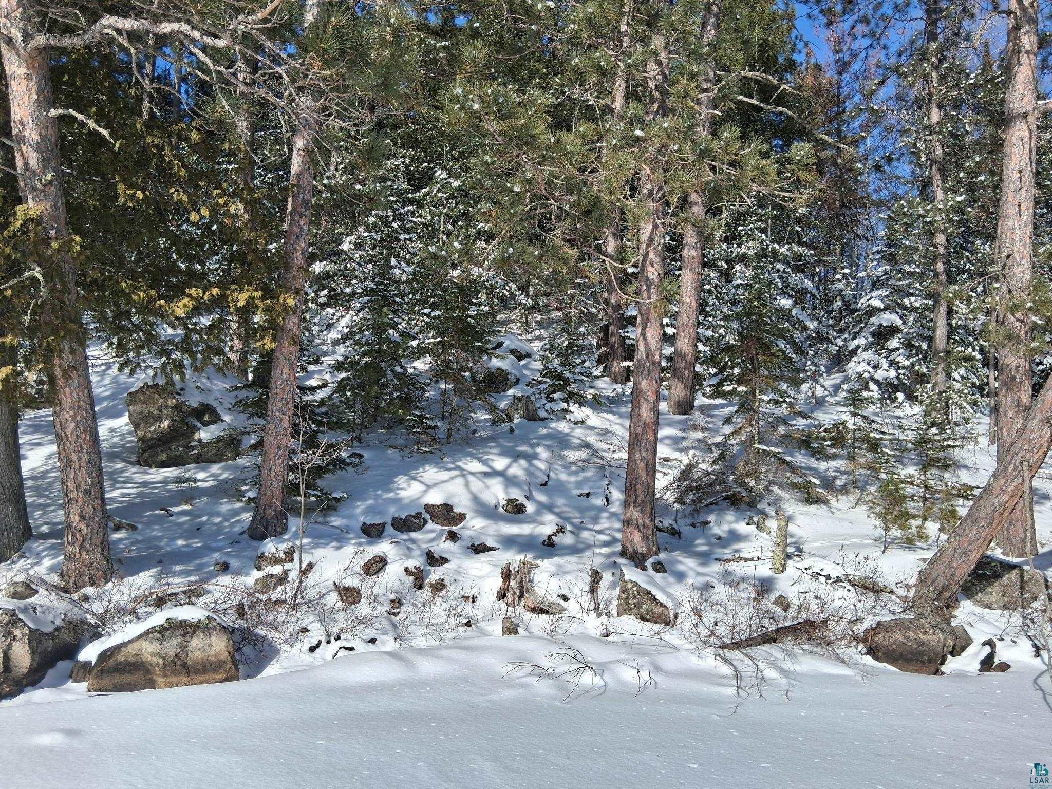 xxxx N North Arm W Cook MN 55723 - Elbow Lake 6123851 image2