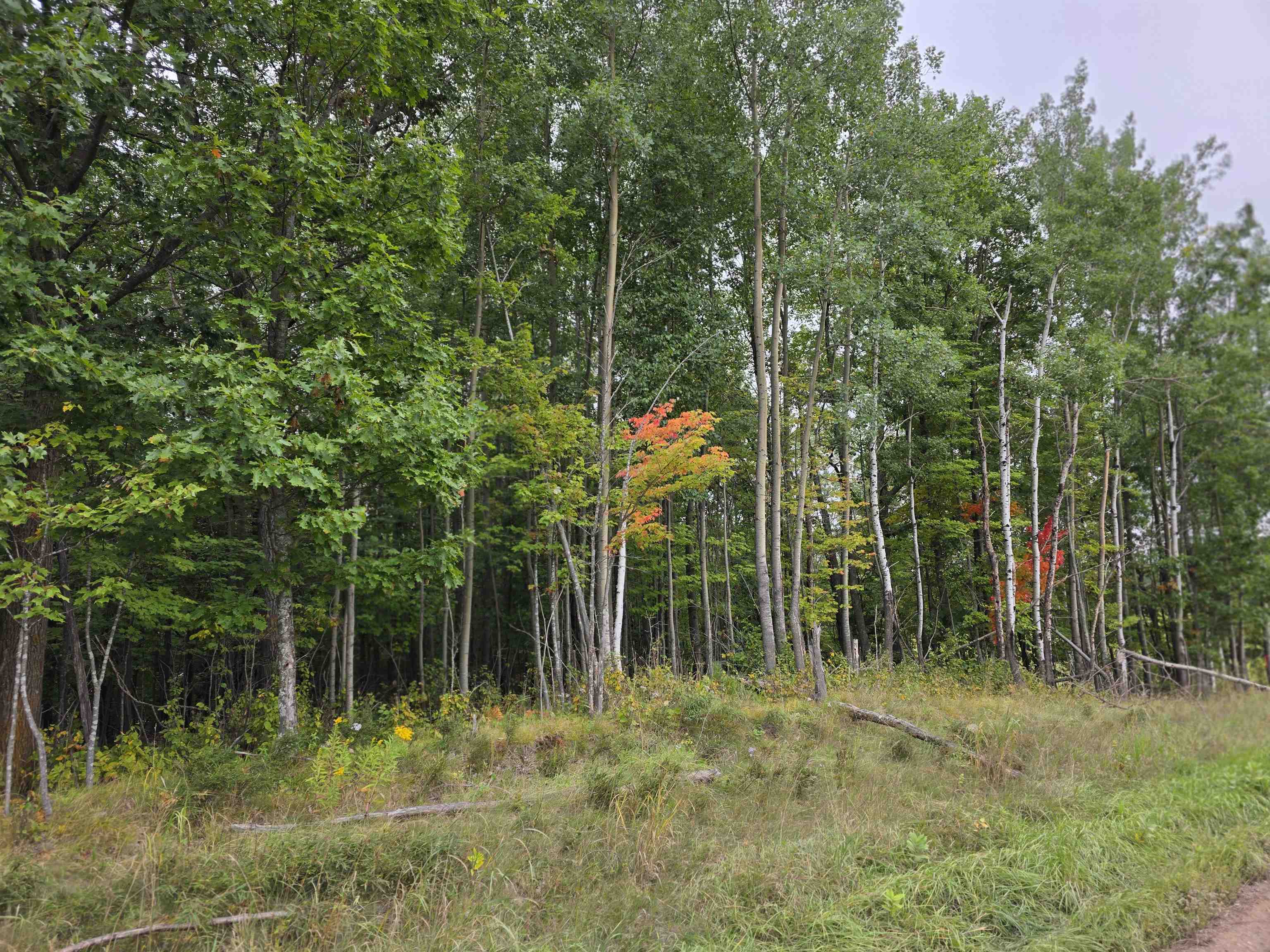 xxxx Pioneer Rd Barnum MN 55707 6121878 image1