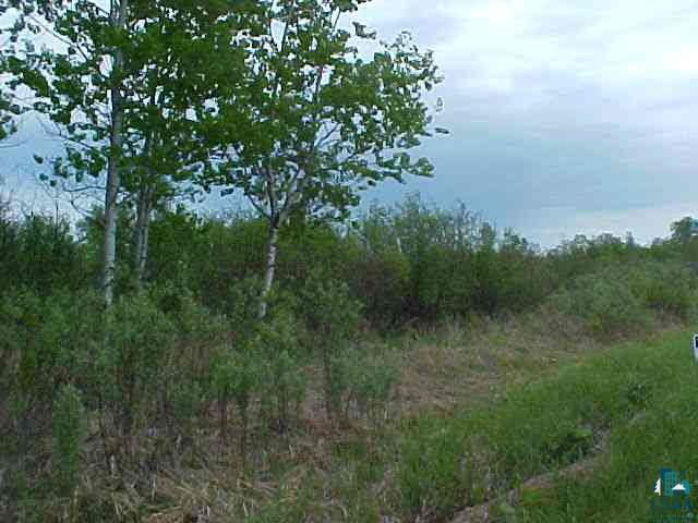 xxxx S CAMP AMNICON RD Lakeside WI 54864 6061197 image2