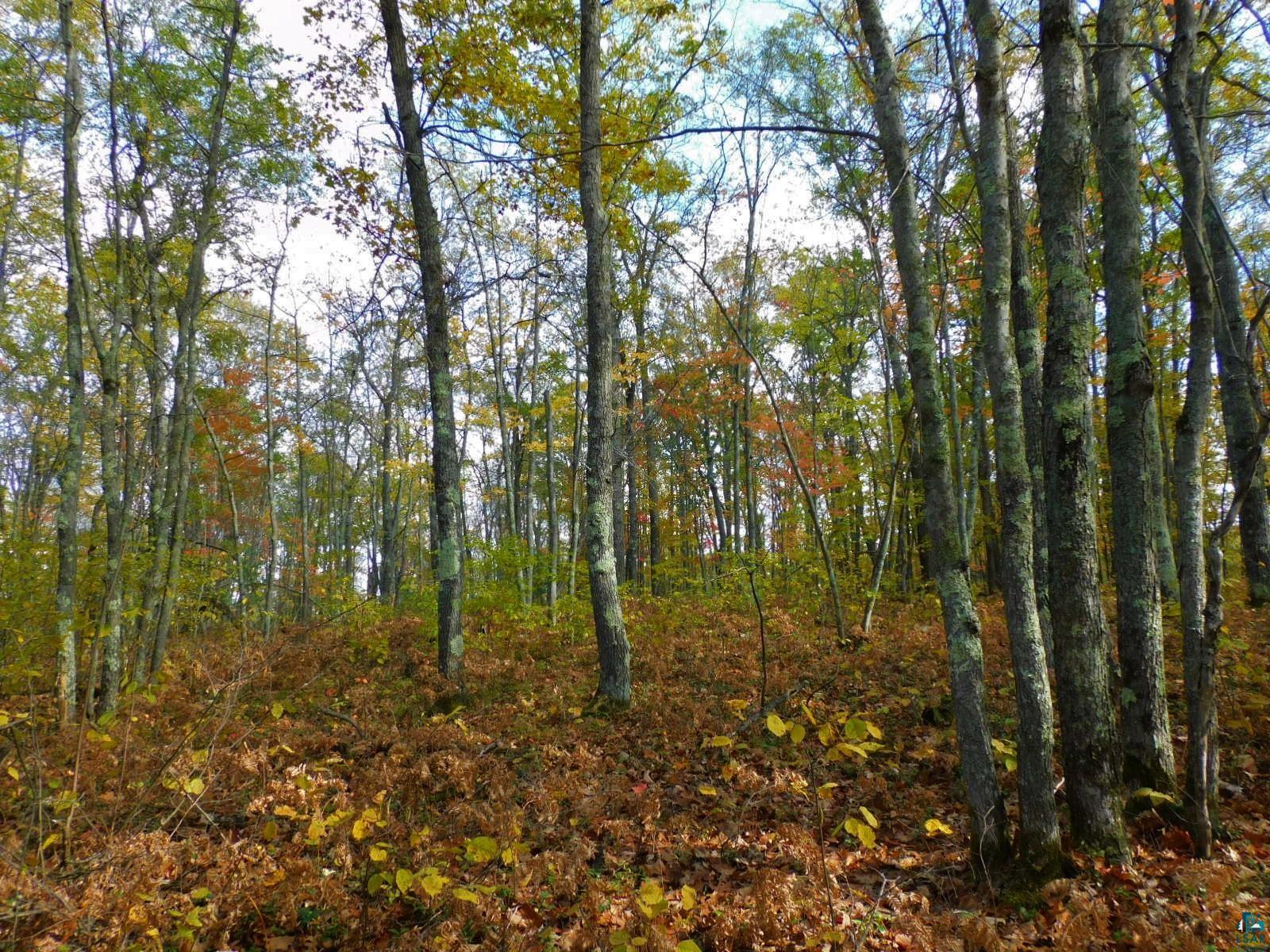 xxxx Sajdak Rd Iron River WI 54847 6113363 image11