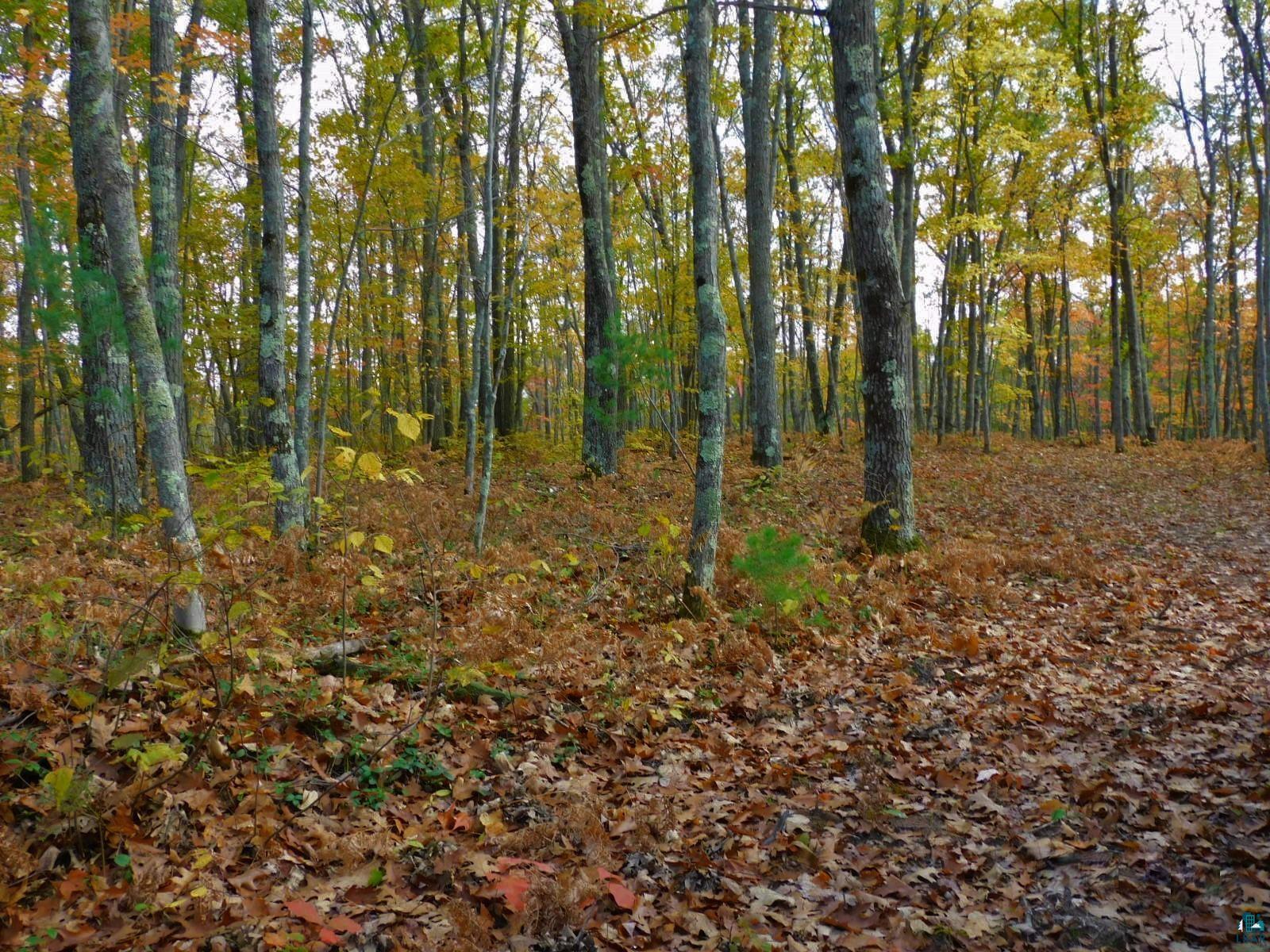 xxxx Sajdak Rd Iron River WI 54847 6113363 image12