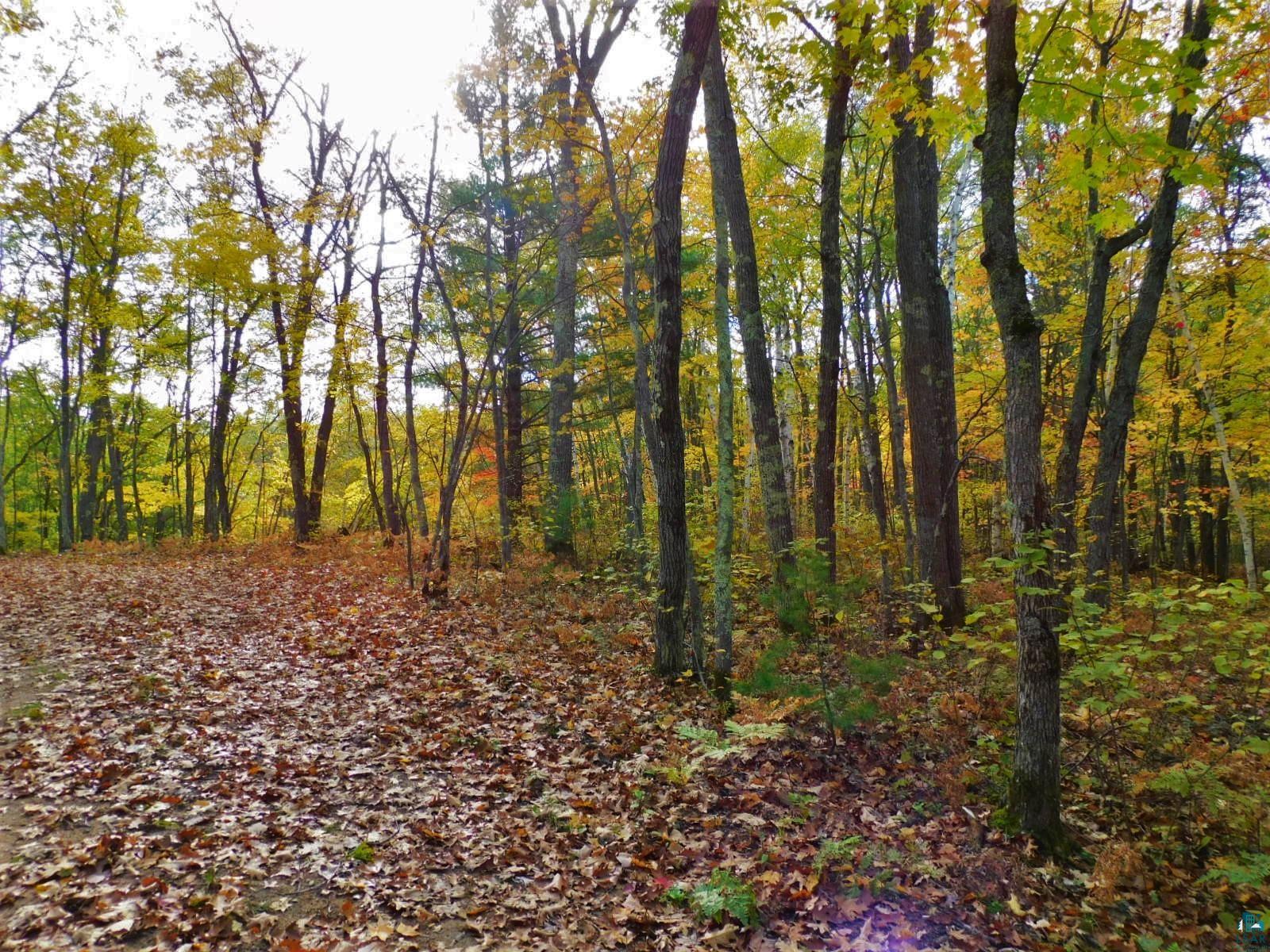 xxxx Sajdak Rd Iron River WI 54847 6113363 image5