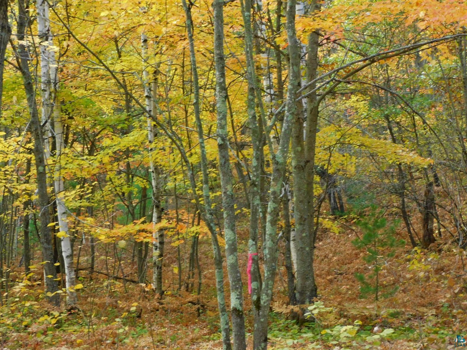 xxxx Sajdak Rd Iron River WI 54847 6113363 image6