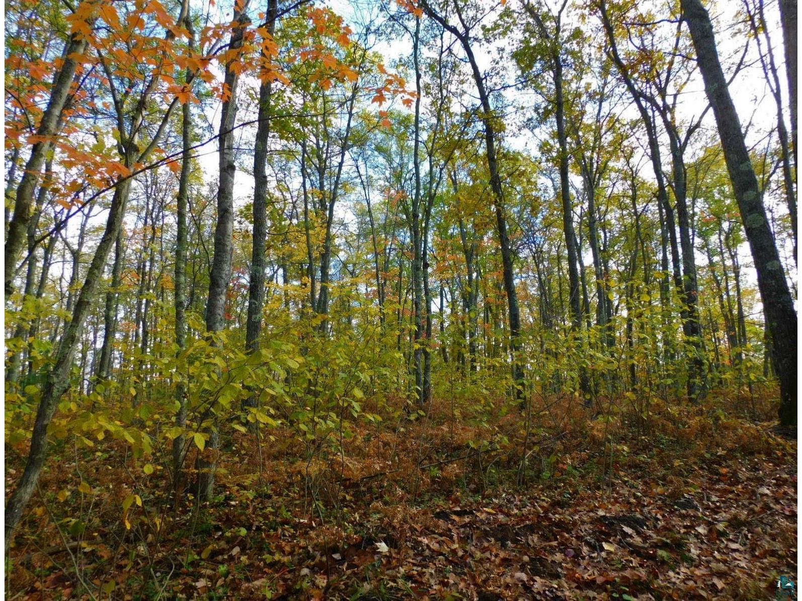 xxxx Sajdak Rd Iron River WI 54847 6113363 image7