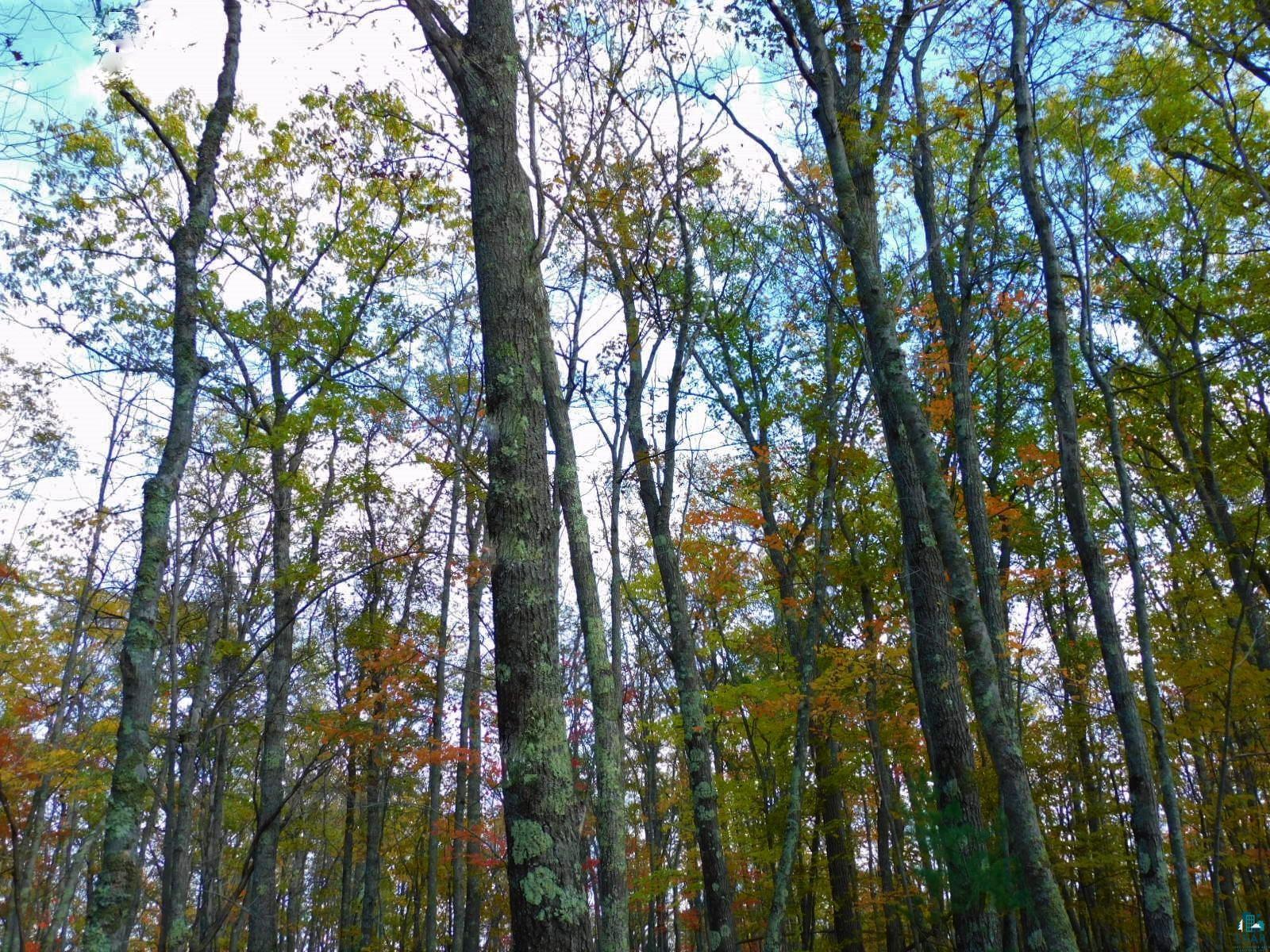 xxxx Sajdak Rd Iron River WI 54847 6113363 image8