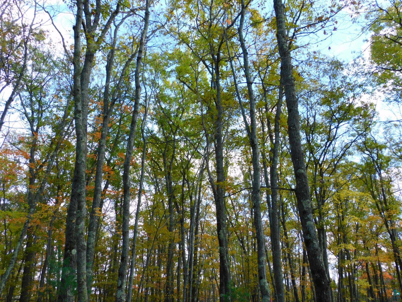 xxxx Sajdak Rd Iron River WI 54847 6113363 image9