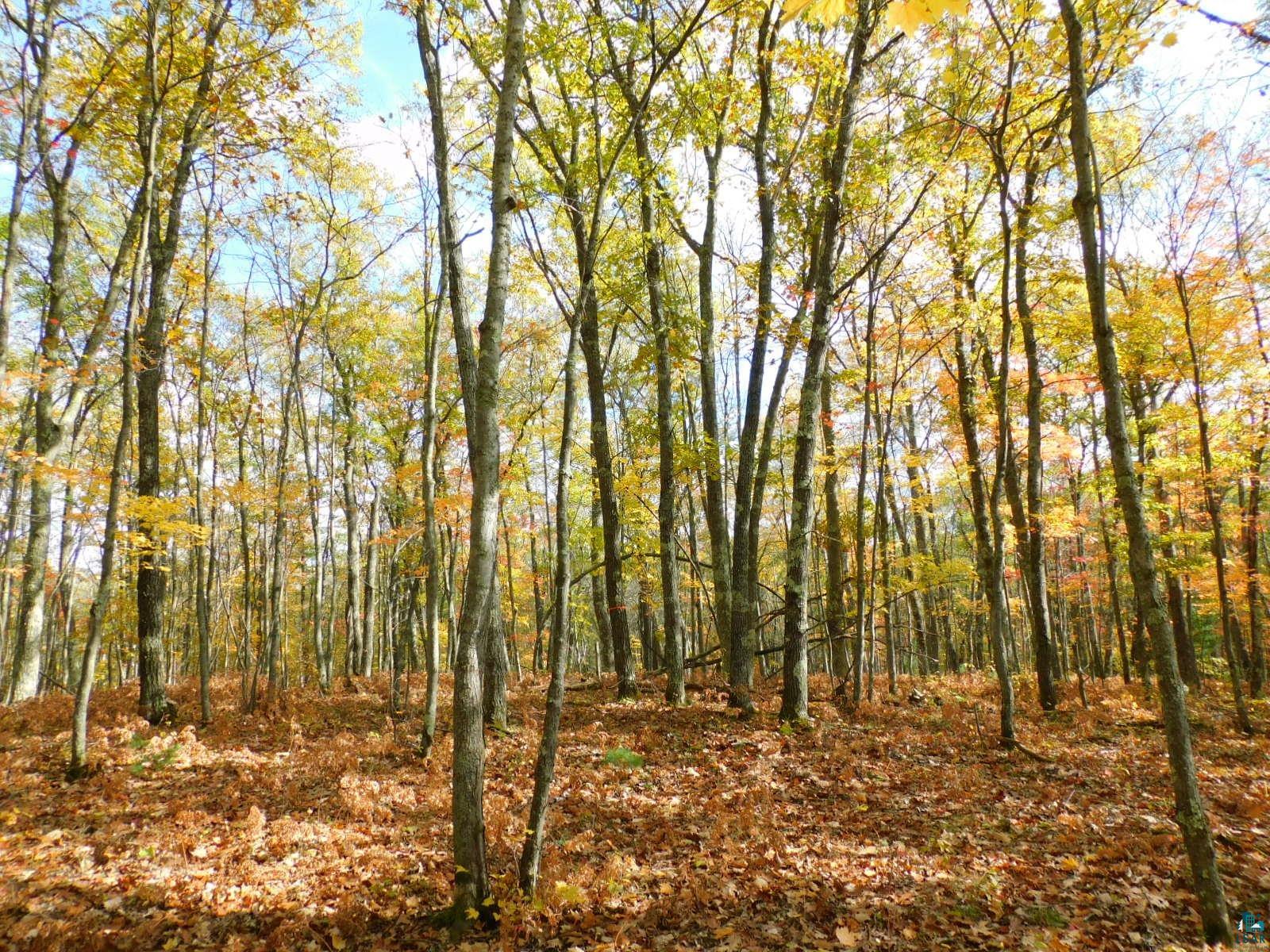 xxxx Sajdak Rd Iron River WI 54847 6113364 image10