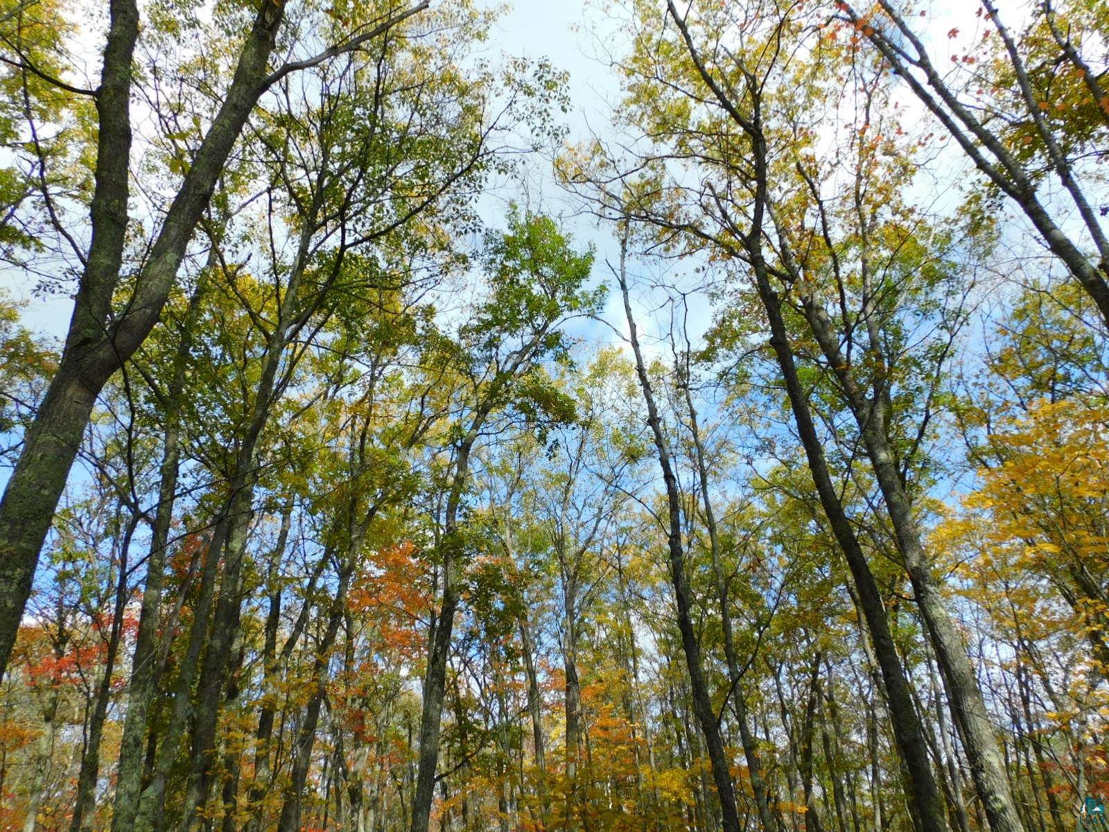 xxxx Sajdak Rd Iron River WI 54847 6113364 image11