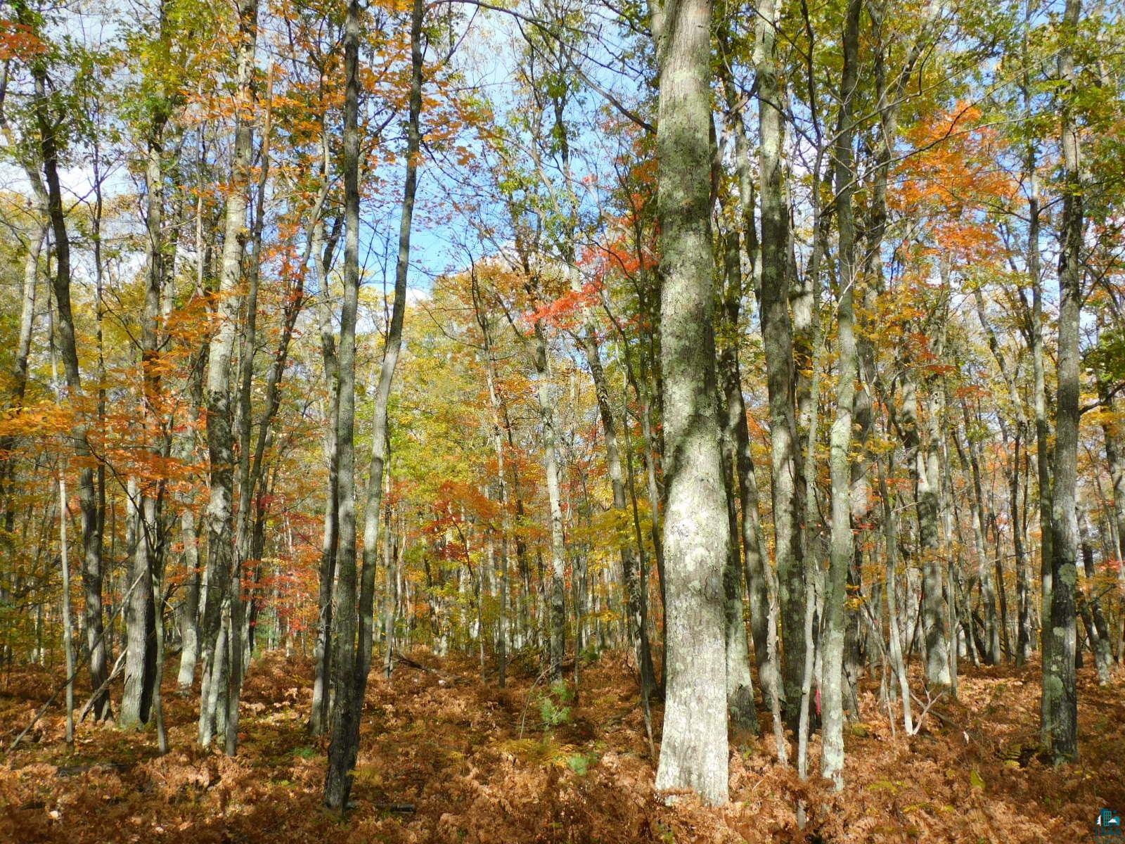 xxxx Sajdak Rd Iron River WI 54847 6113364 image14