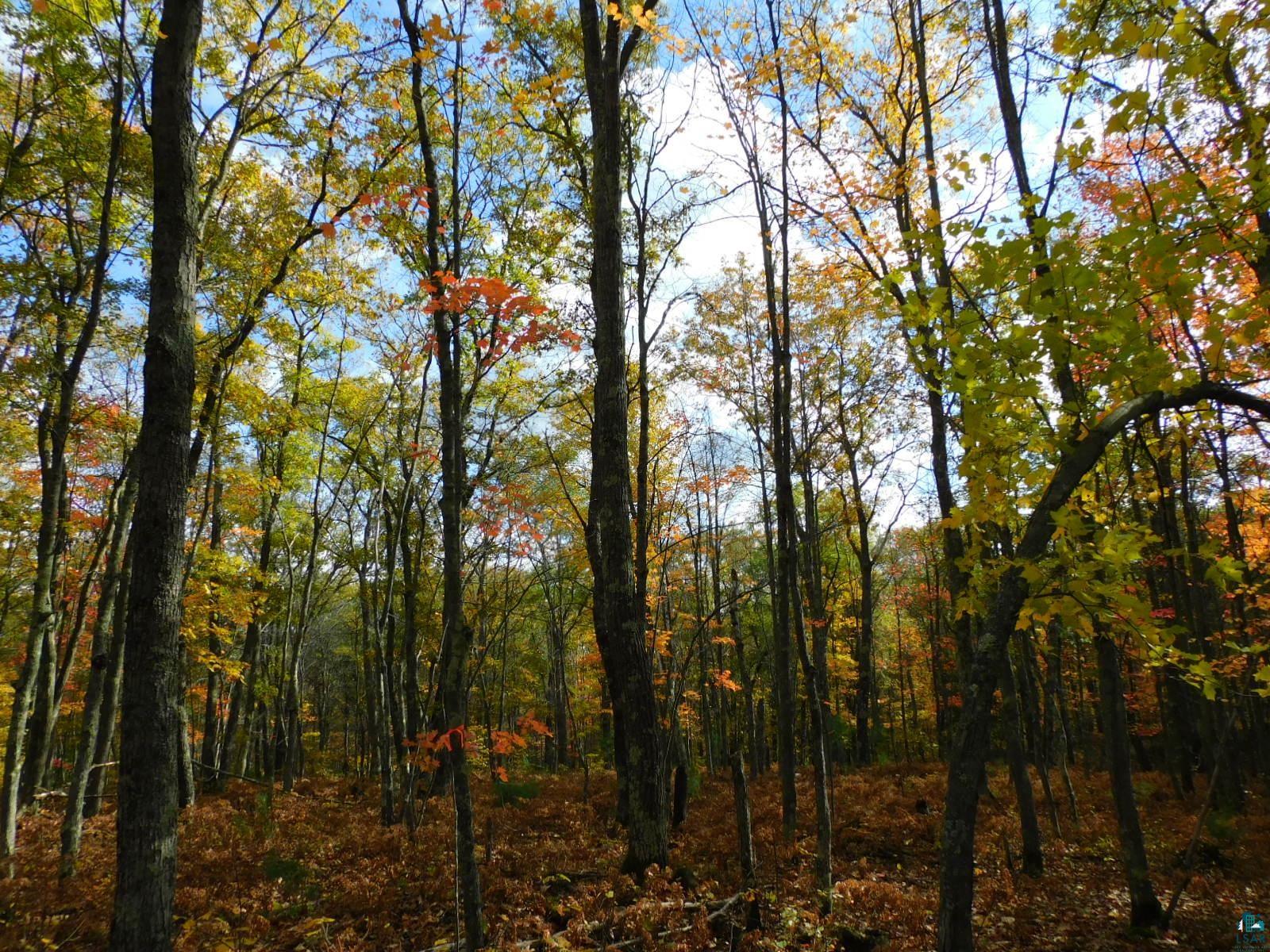 xxxx Sajdak Rd Iron River WI 54847 6113364 image16