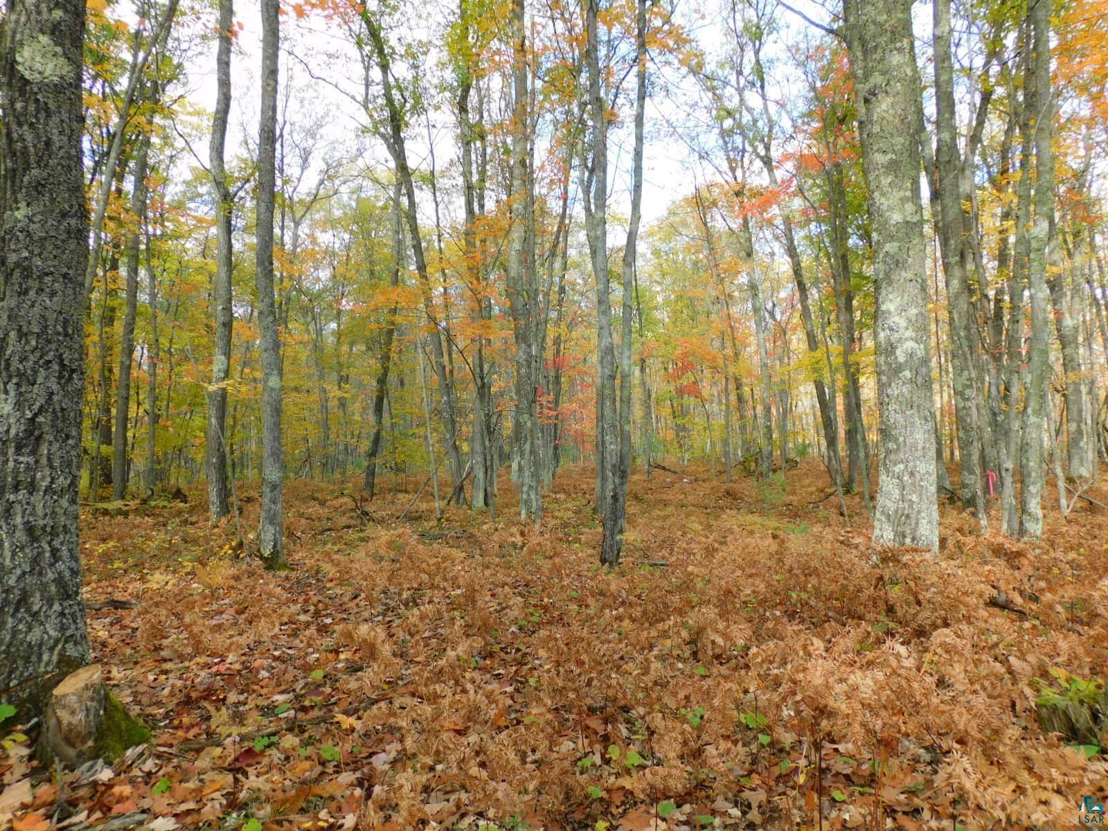 xxxx Sajdak Rd Iron River WI 54847 6113364 image17