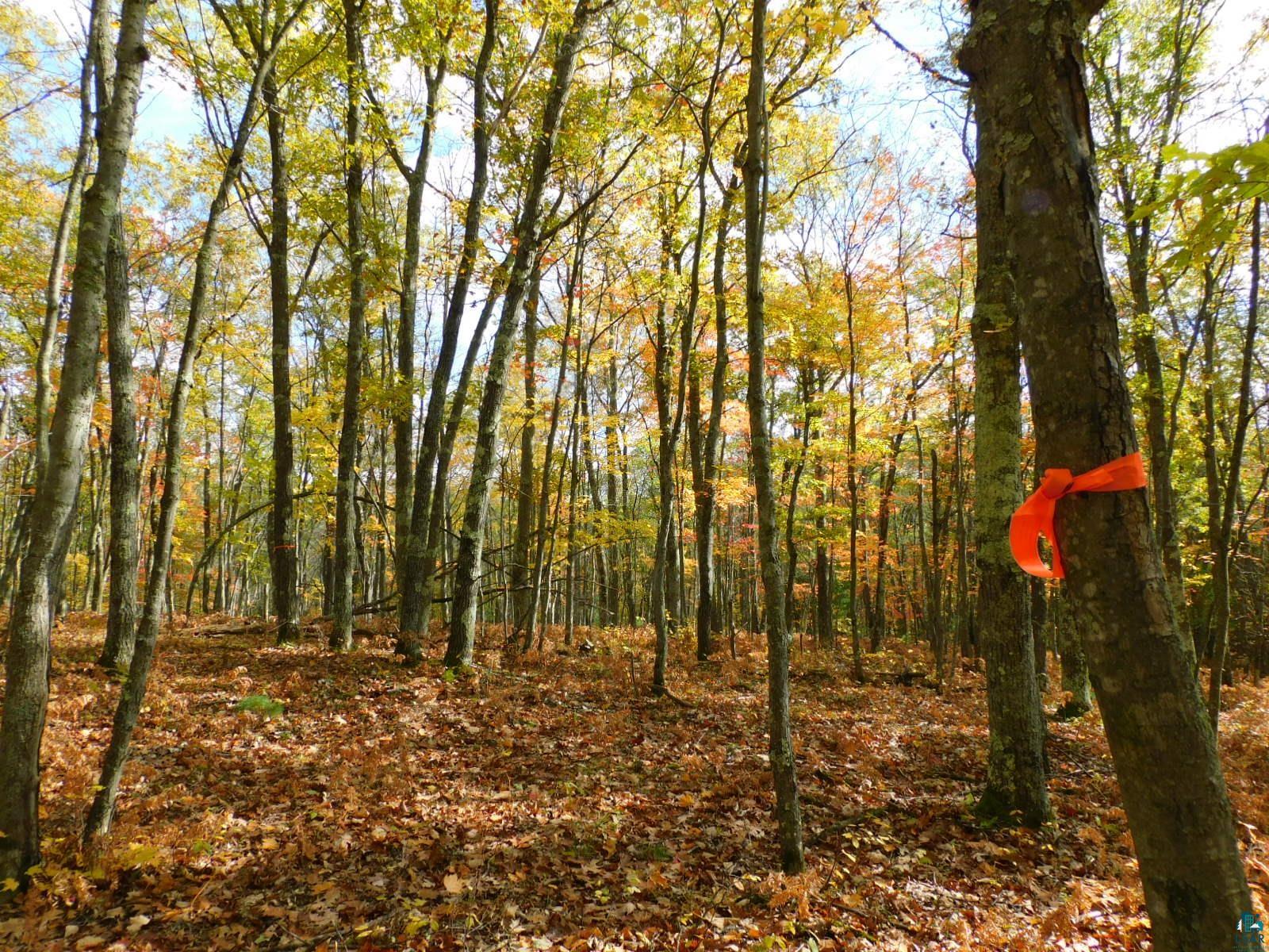 xxxx Sajdak Rd Iron River WI 54847 6113364 image3