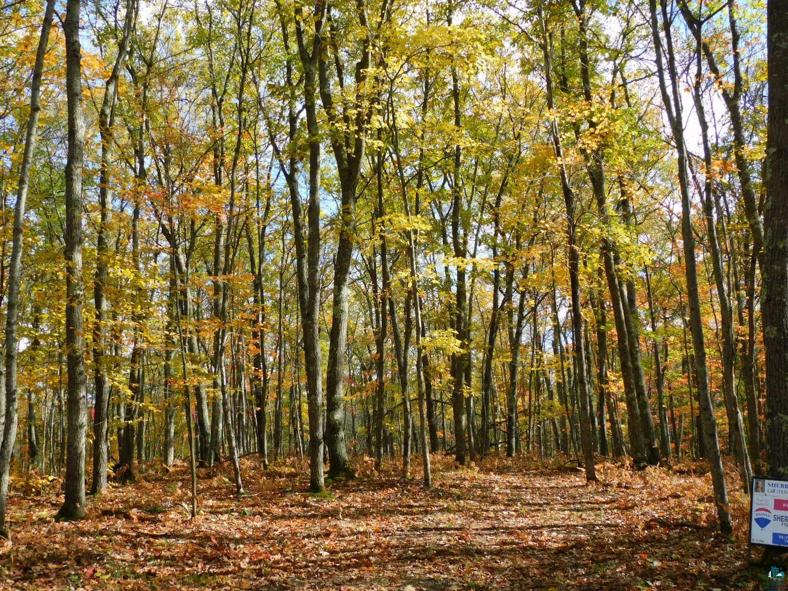 xxxx Sajdak Rd Iron River WI 54847 6113364 image5