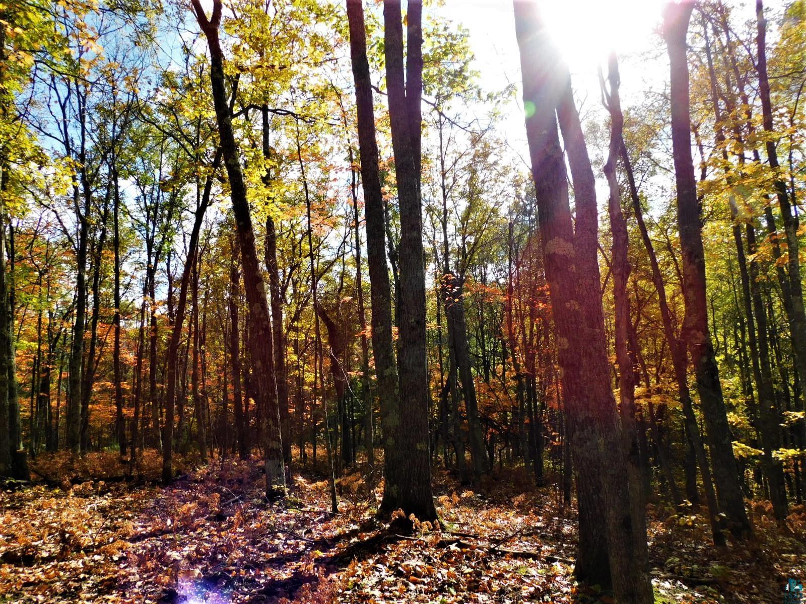 xxxx Sajdak Rd Iron River WI 54847 6113364 image6