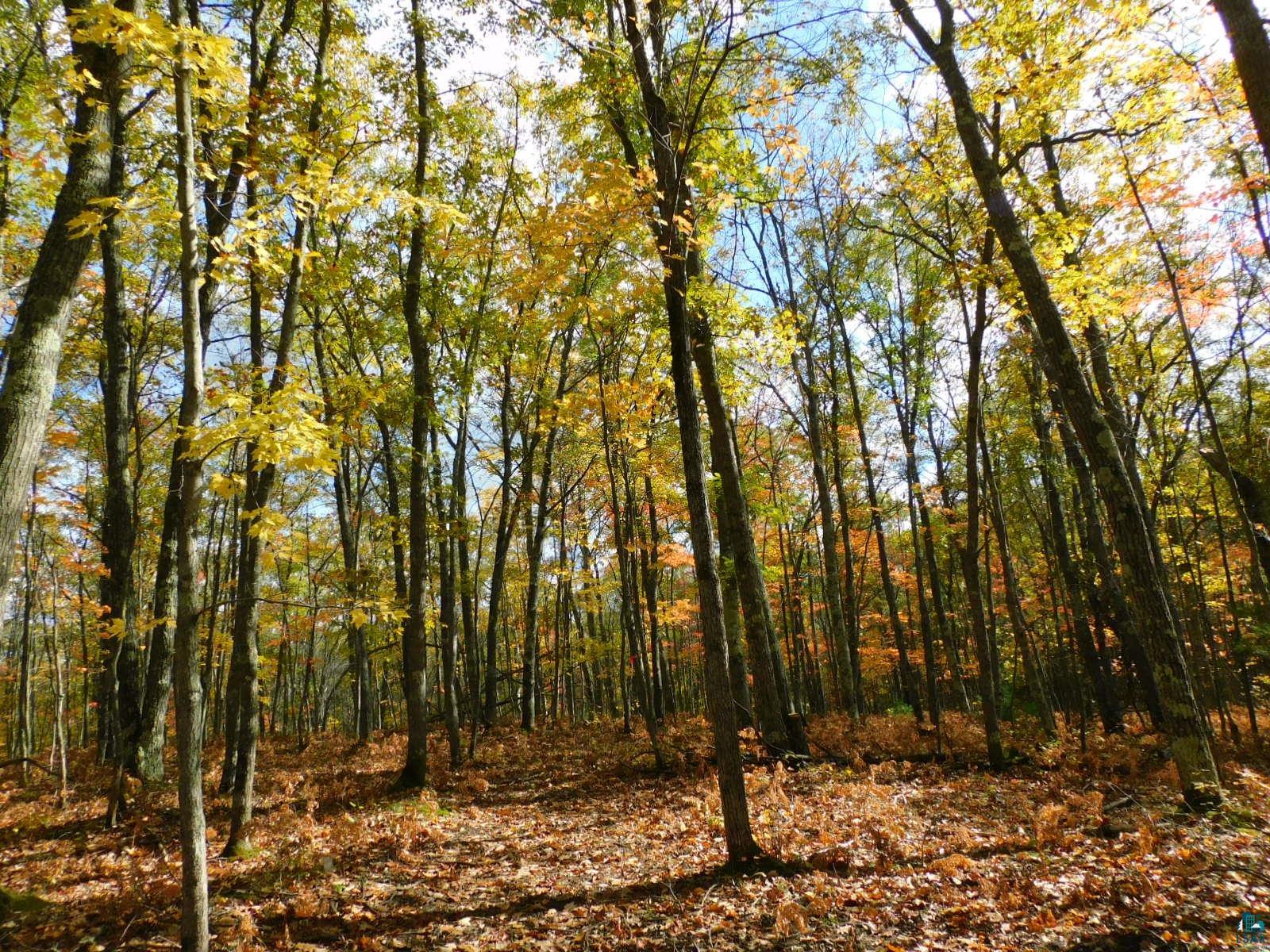 xxxx Sajdak Rd Iron River WI 54847 6113364 image7