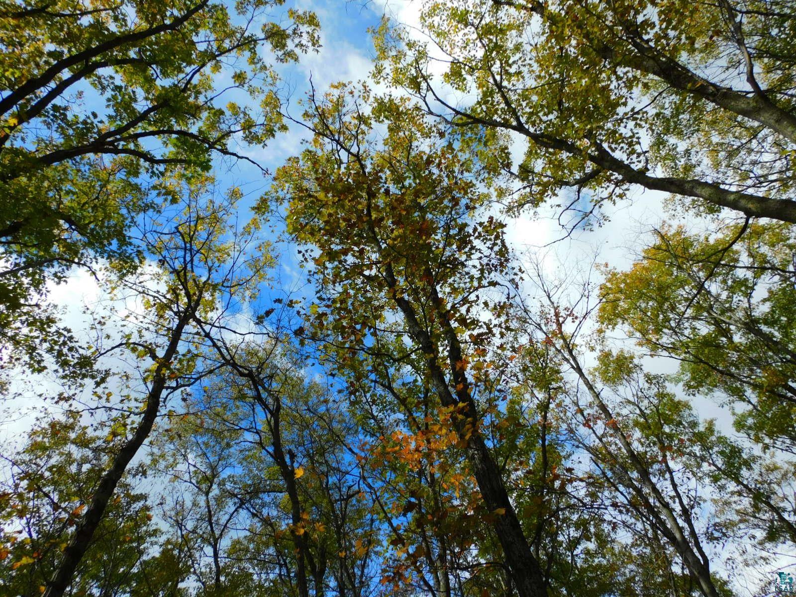 xxxx Sajdak Rd Iron River WI 54847 6113364 image8