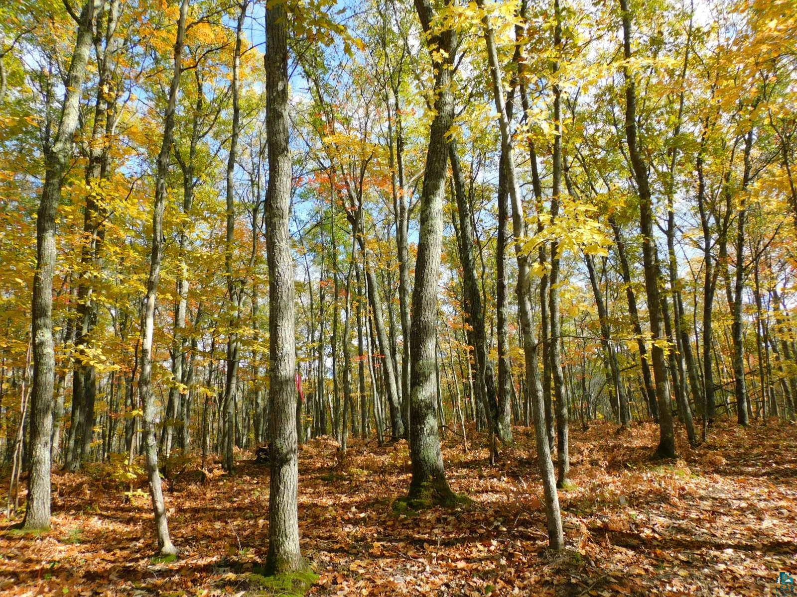 xxxx Sajdak Rd Iron River WI 54847 6113364 image9