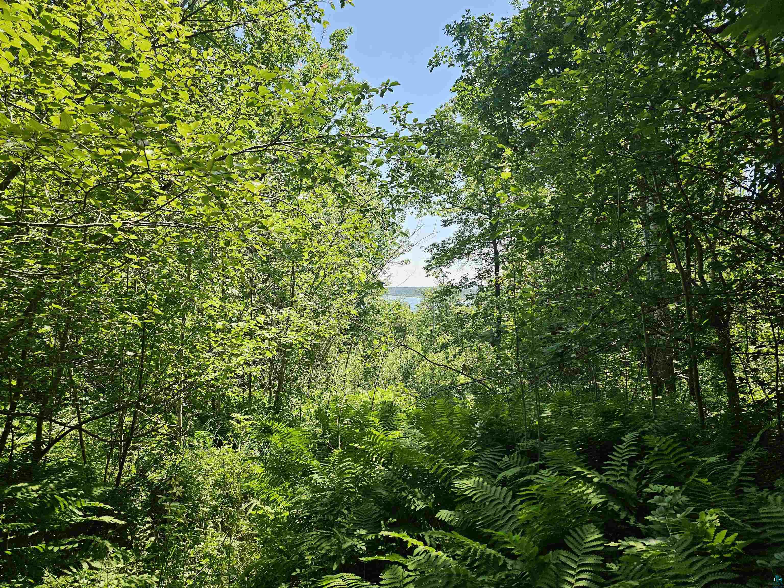 xxxx State Highway 13 Washburn WI 54891 6120618 image1