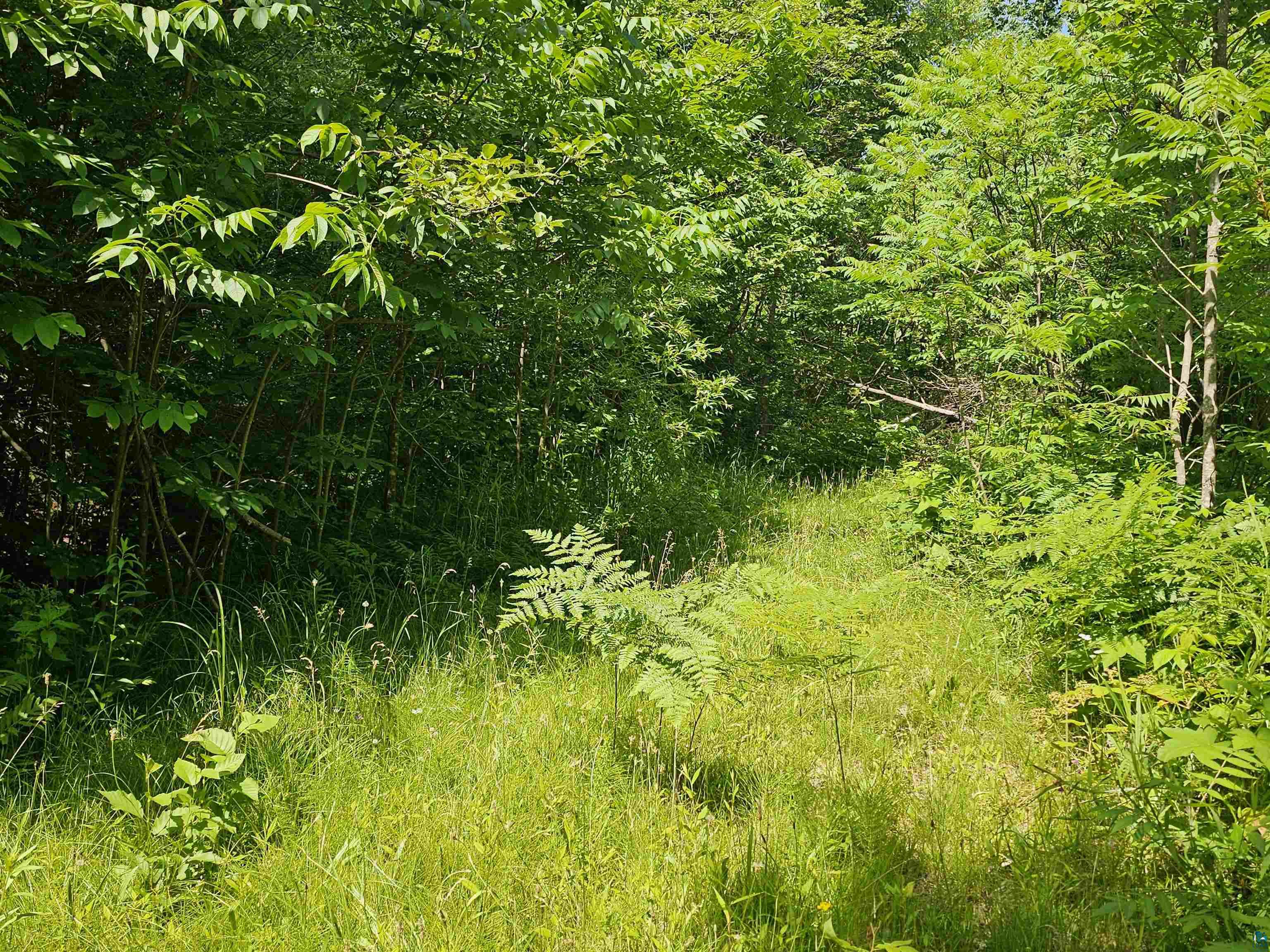 xxxx State Highway 13 Washburn WI 54891 6120618 image2