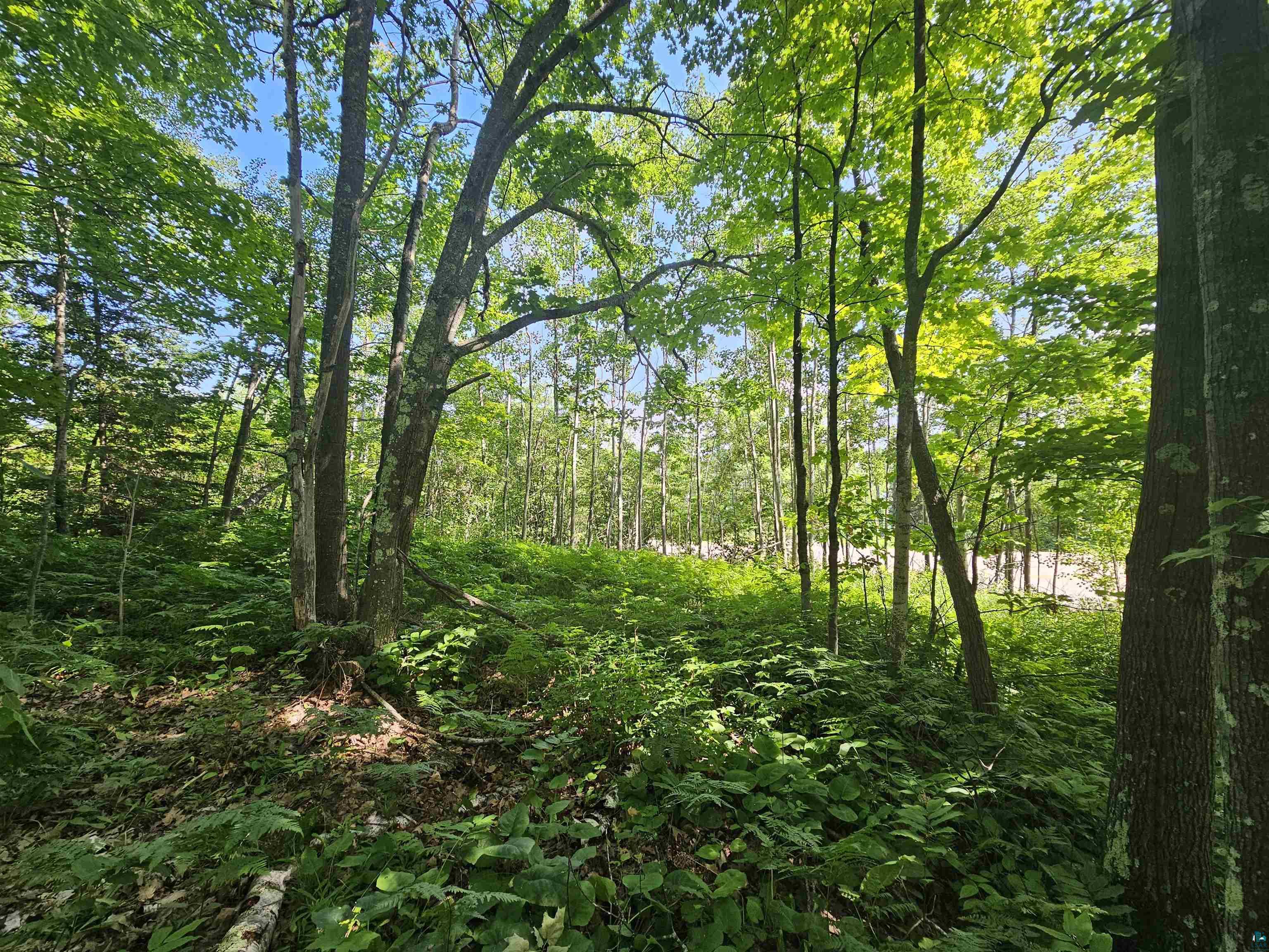 xxxx State Highway 13 Washburn WI 54891 6120618 image3