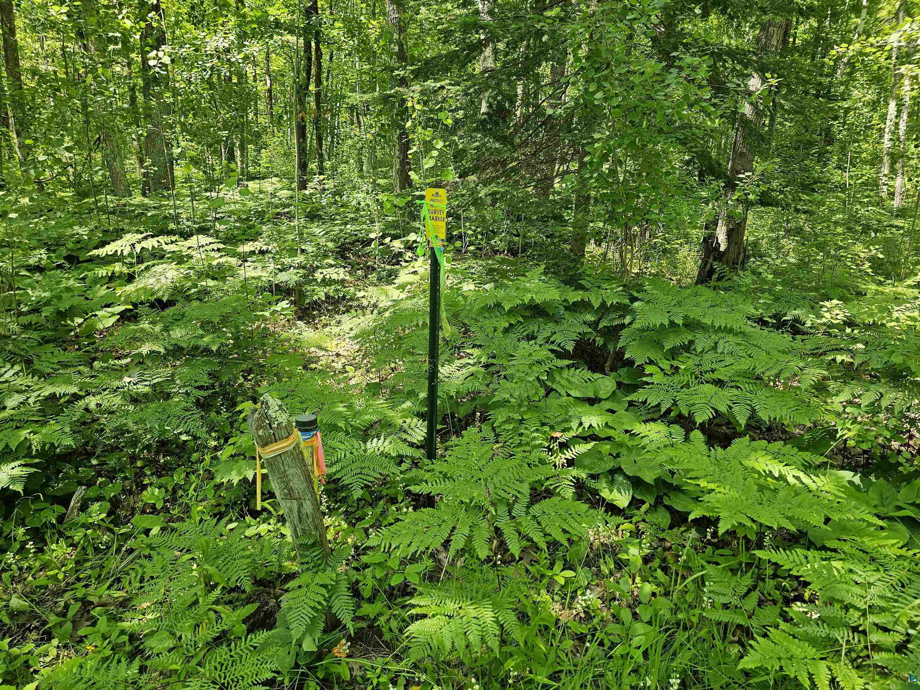 xxxx State Highway 13 Washburn WI 54891 6120618 image4