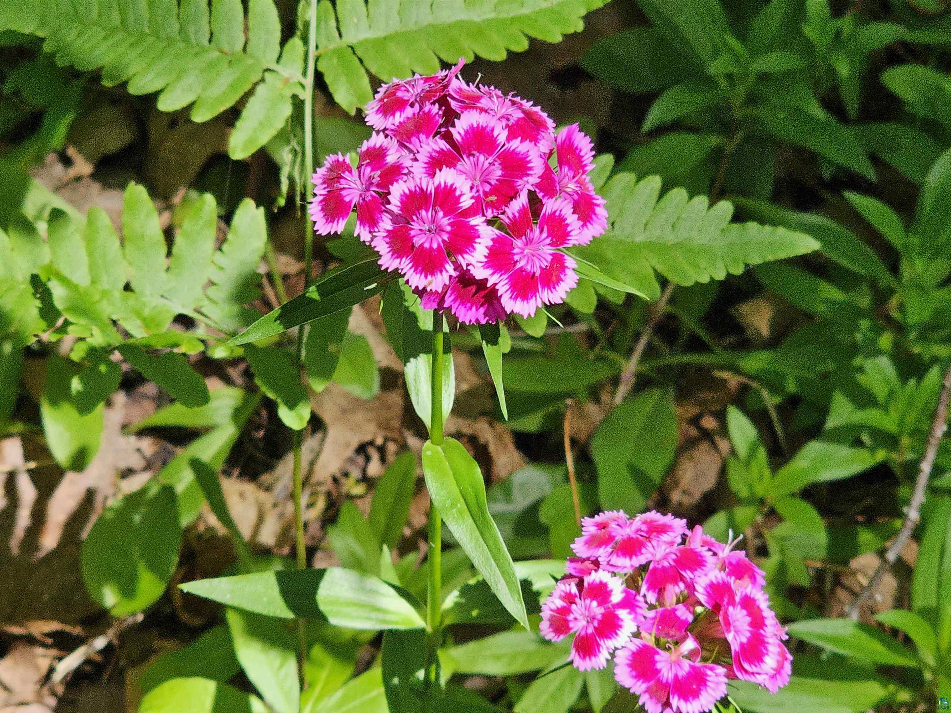 xxxx State Highway 13 Washburn WI 54891 6120618 image5