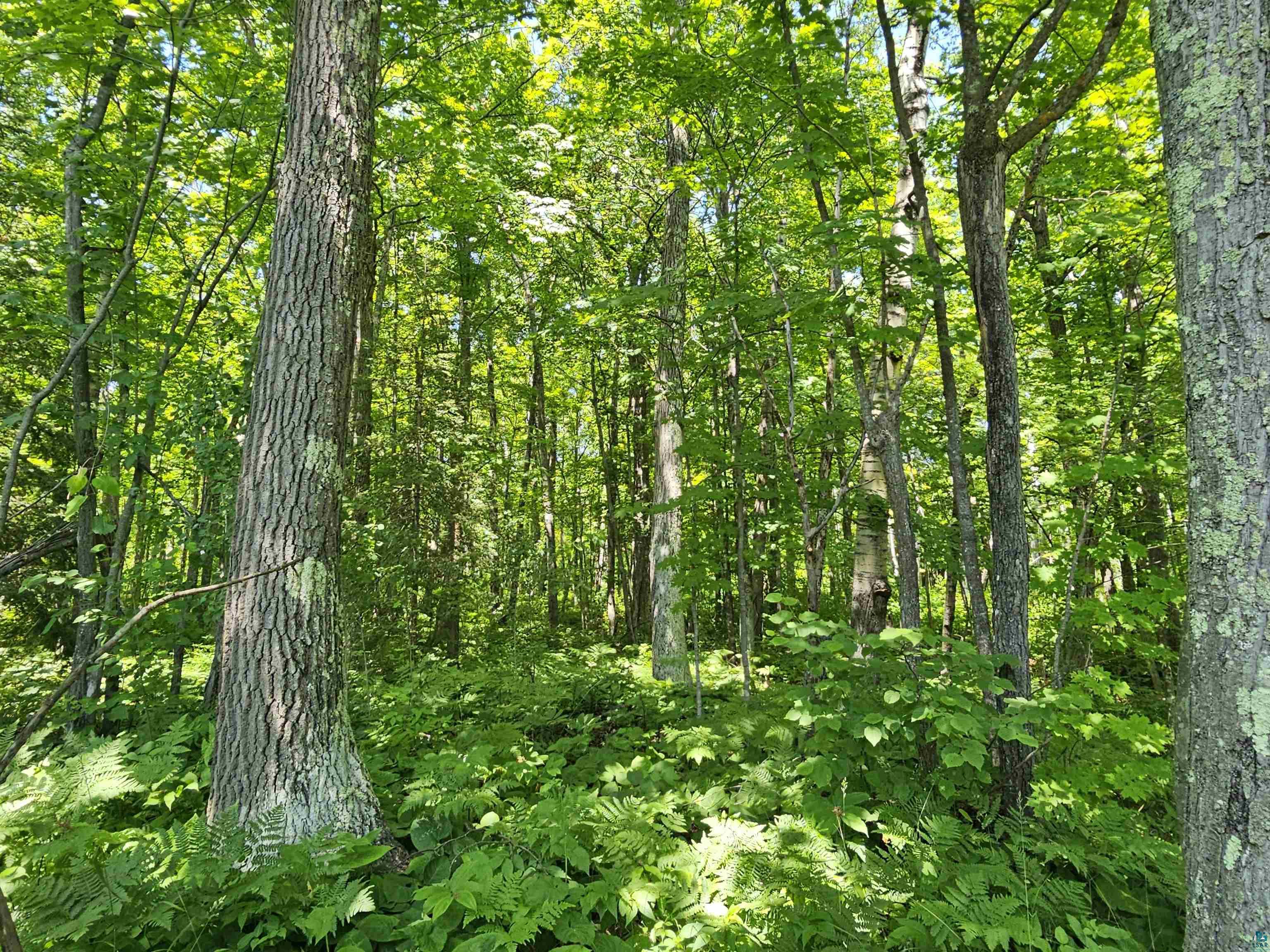 xxxx State Highway 13 Washburn WI 54891 6120618 image6