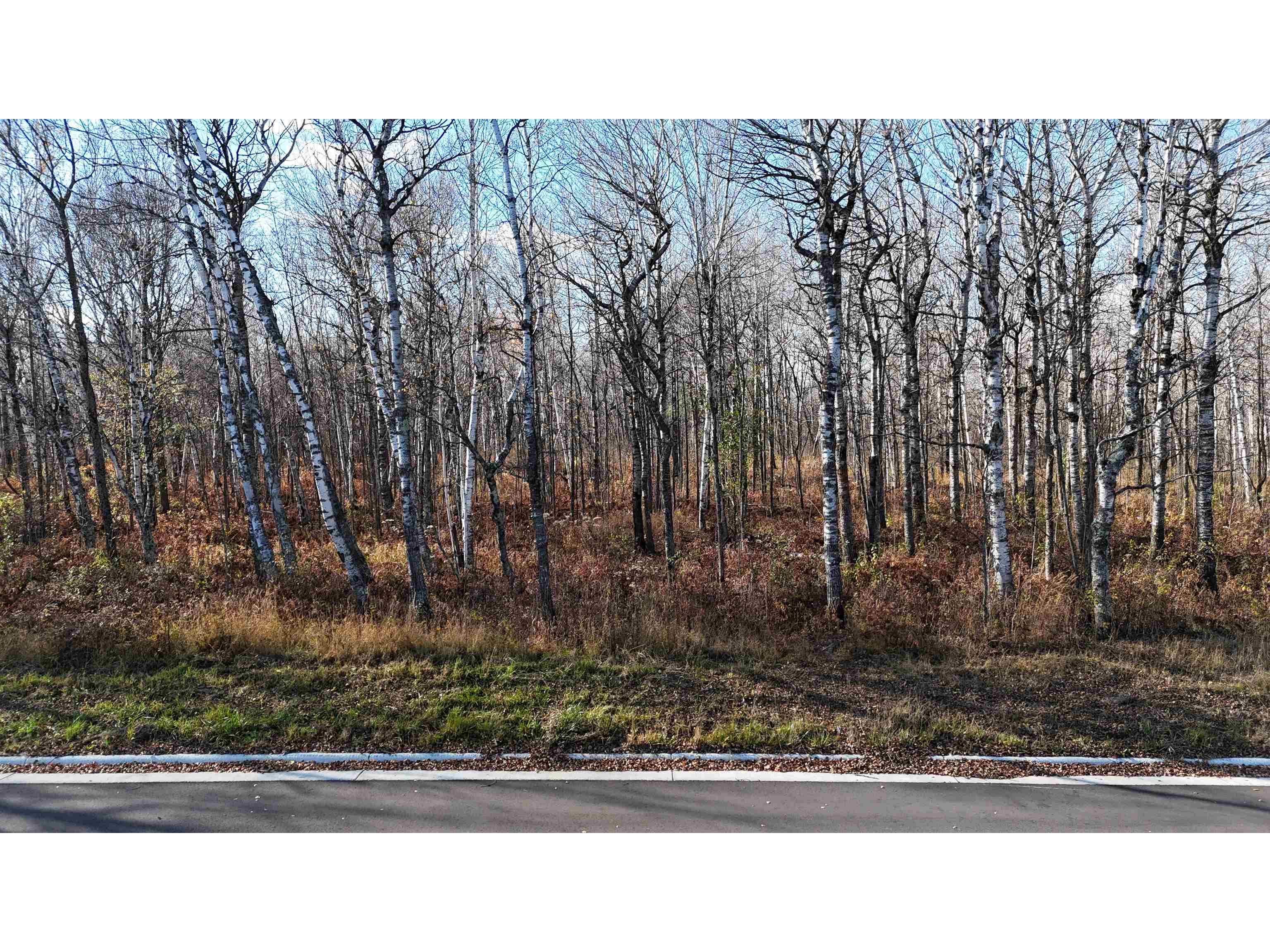 xxxx Yellow Birch Trail Duluth MN 55810 6123156 image1