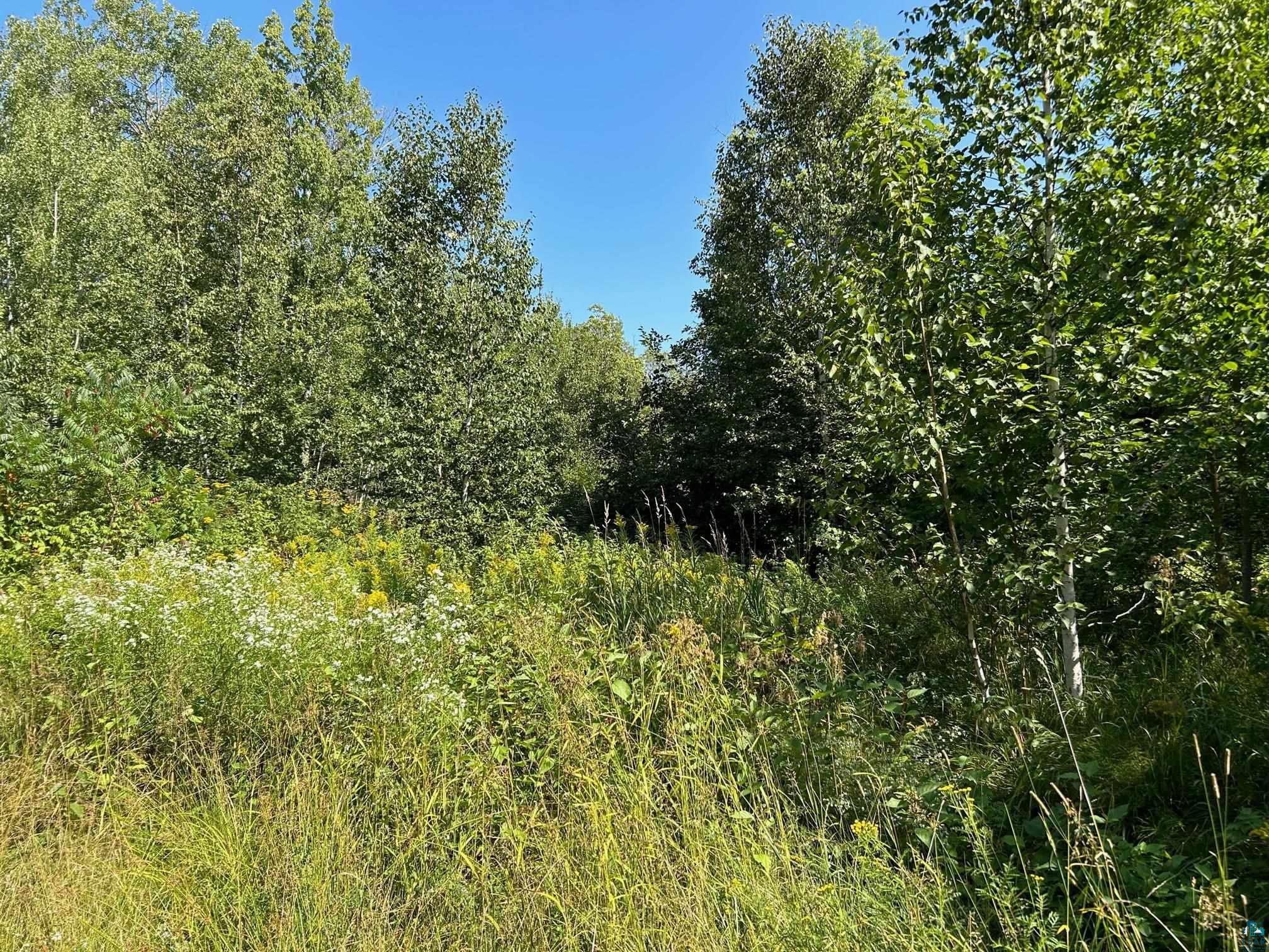 xxxxx Tierra Rd North, Cornucopia, WI, 54827 MLS 6110373 Edina Realty