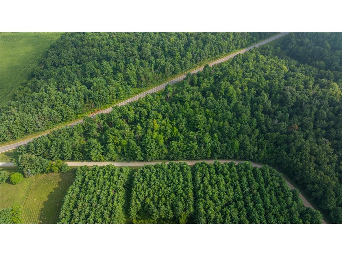 +/- 13 Acres County B / Monthei Rd. Fairchild WI 54741 1594487 image1