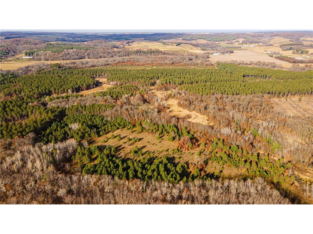 +/-39 Acres Prairie Road E Osseo WI 54758 1578379 image1