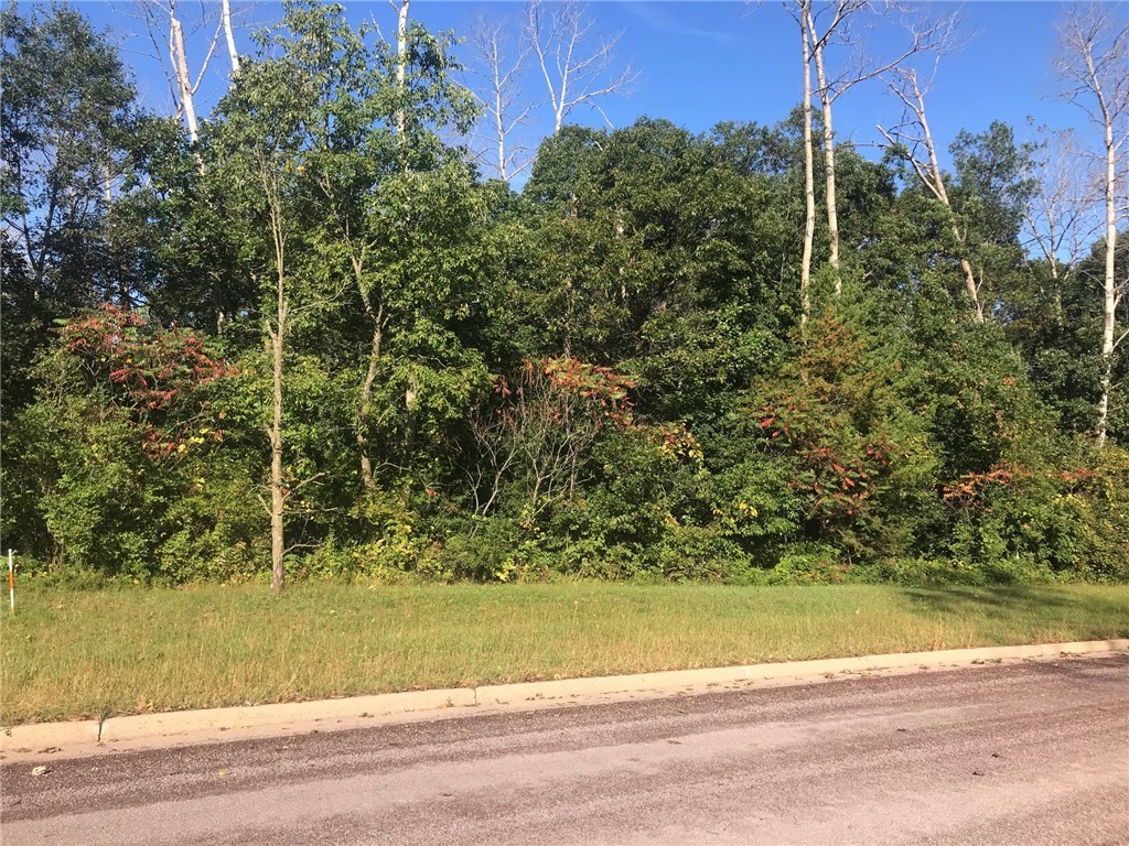 #4 Whitetail Road Osseo WI 54758 1514814 image1