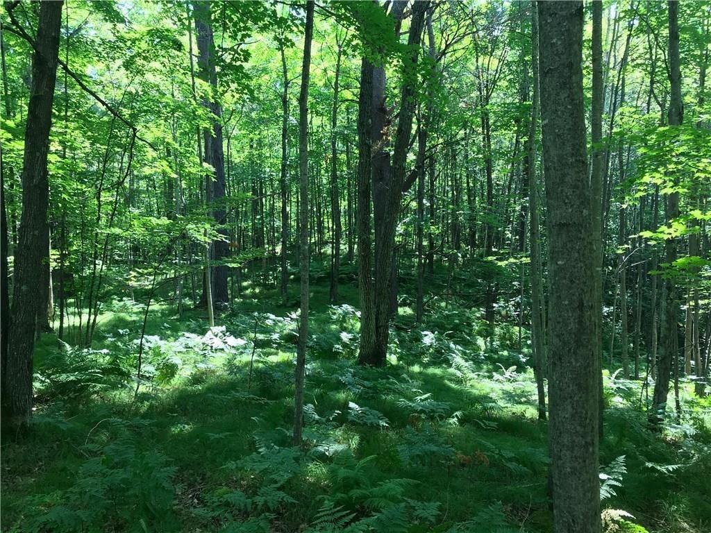 .57 acres Bald Eagle Dr Trego WI 54888 1577336 image1