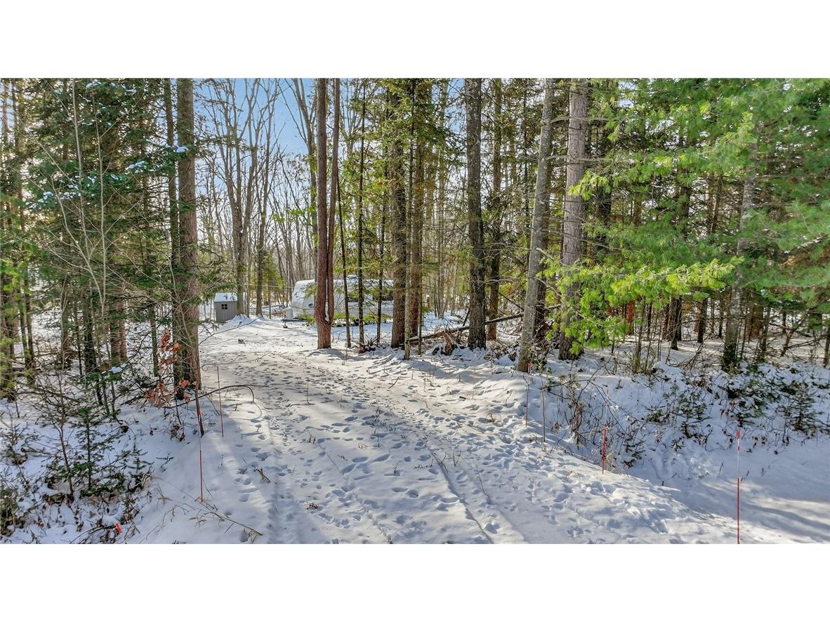 .81 Acre On Chippewa Avenue Holcombe WI 54745 - Chippewa River 1598182 image5