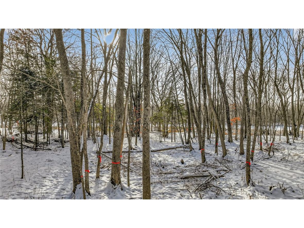 .81 Acre On Chippewa Avenue Holcombe WI 54745 - Chippewa River 1598182 image8