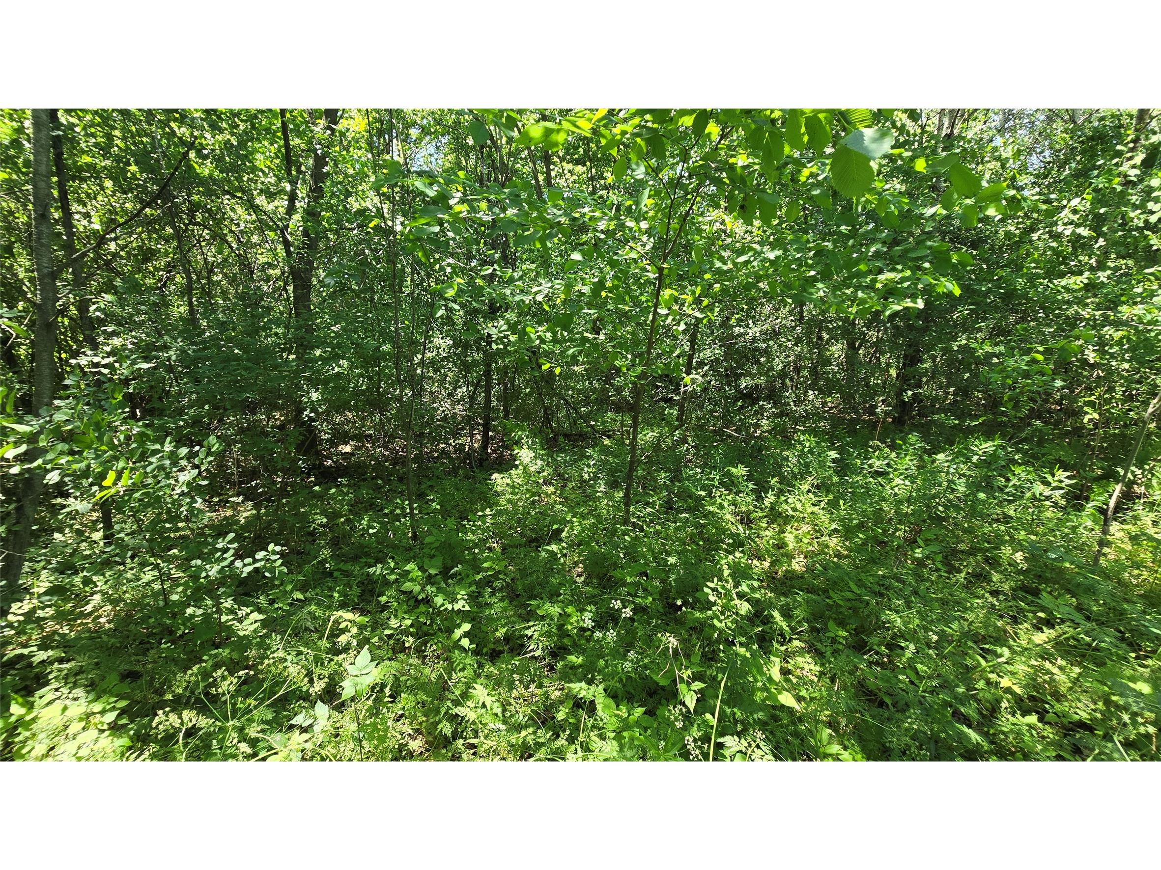  Bloomer WI 54724 1602248 image4