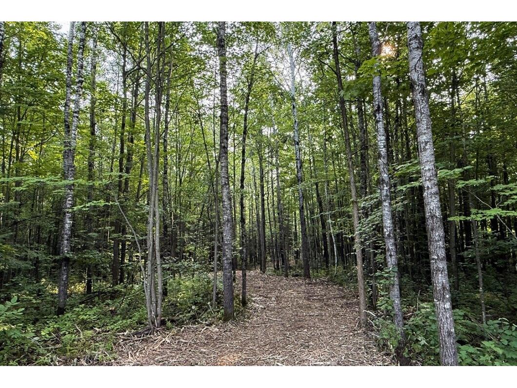  Exeland WI 54828 1597475 image1