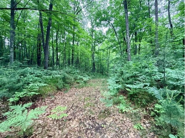  Hayward WI 54843 - Grindstone Lake 1601882 image1