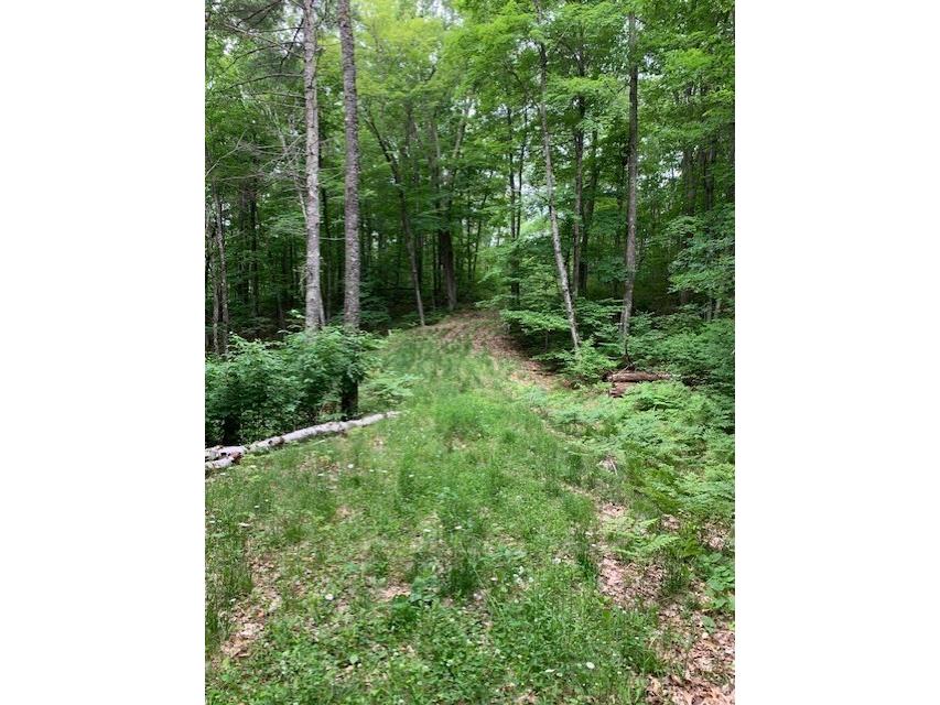  Hayward WI 54843 - Grindstone Lake 1601882 image11