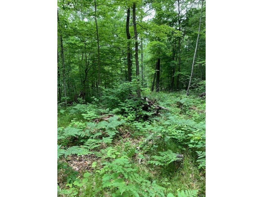  Hayward WI 54843 - Grindstone Lake 1601882 image12